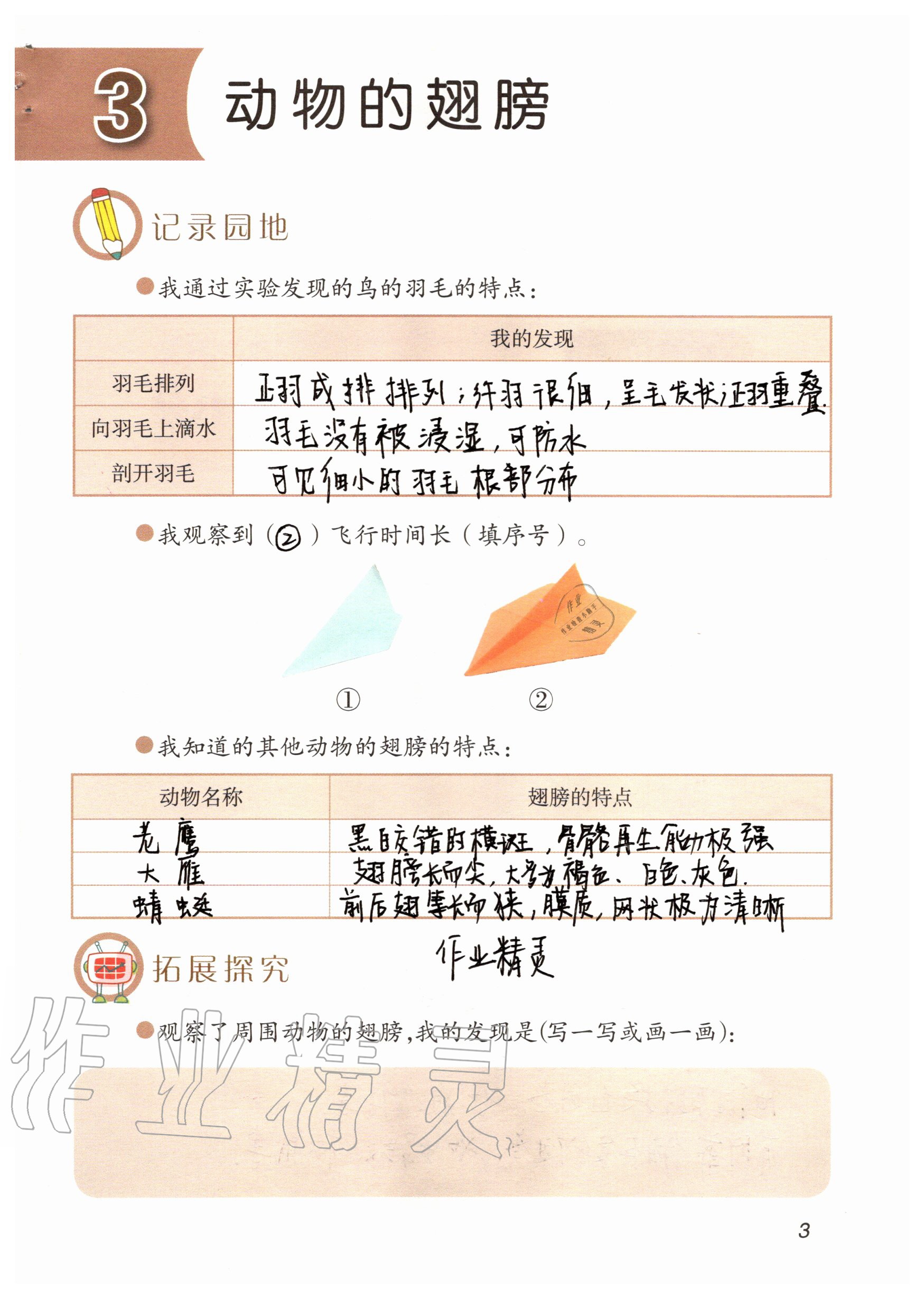 2020年科學(xué)學(xué)生活動手冊三年級上冊青島版 參考答案第3頁