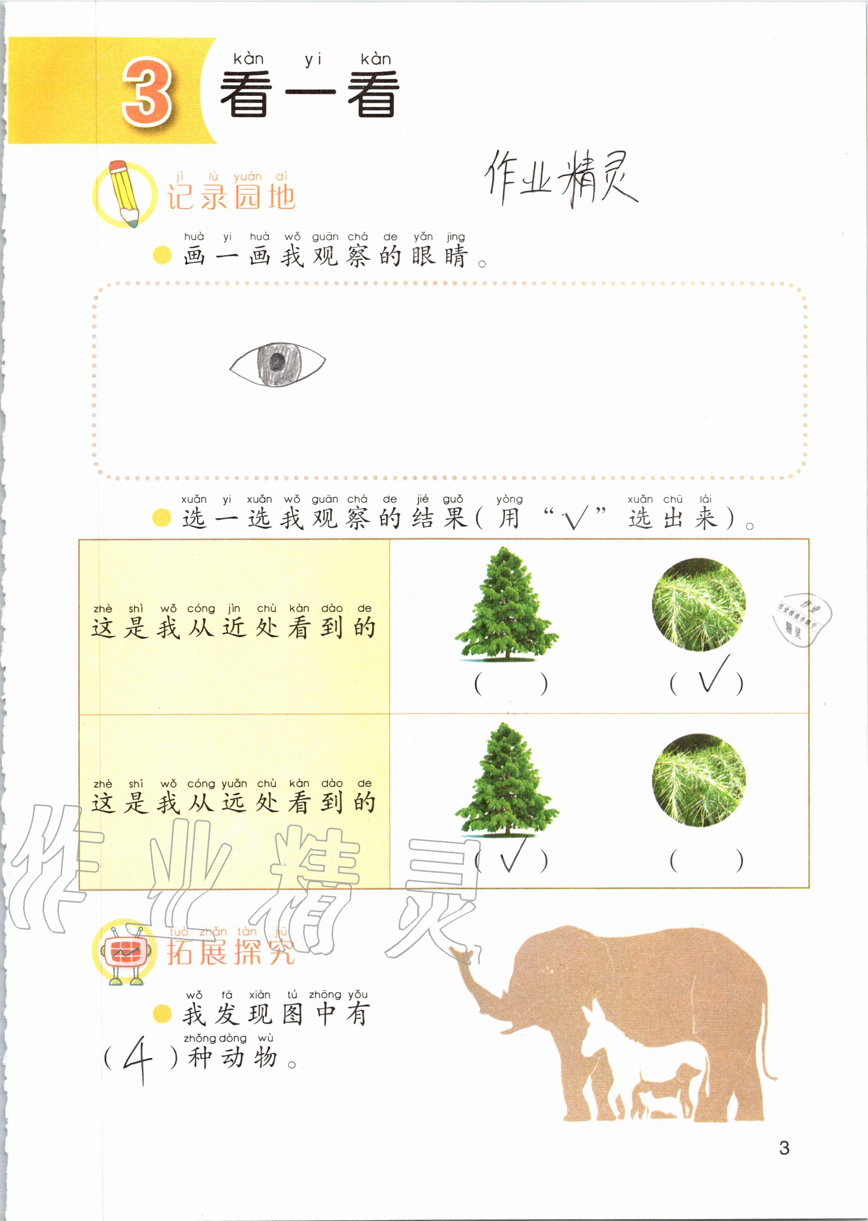 2020年科學(xué)學(xué)生活動手冊一年級上冊青島版 參考答案第3頁