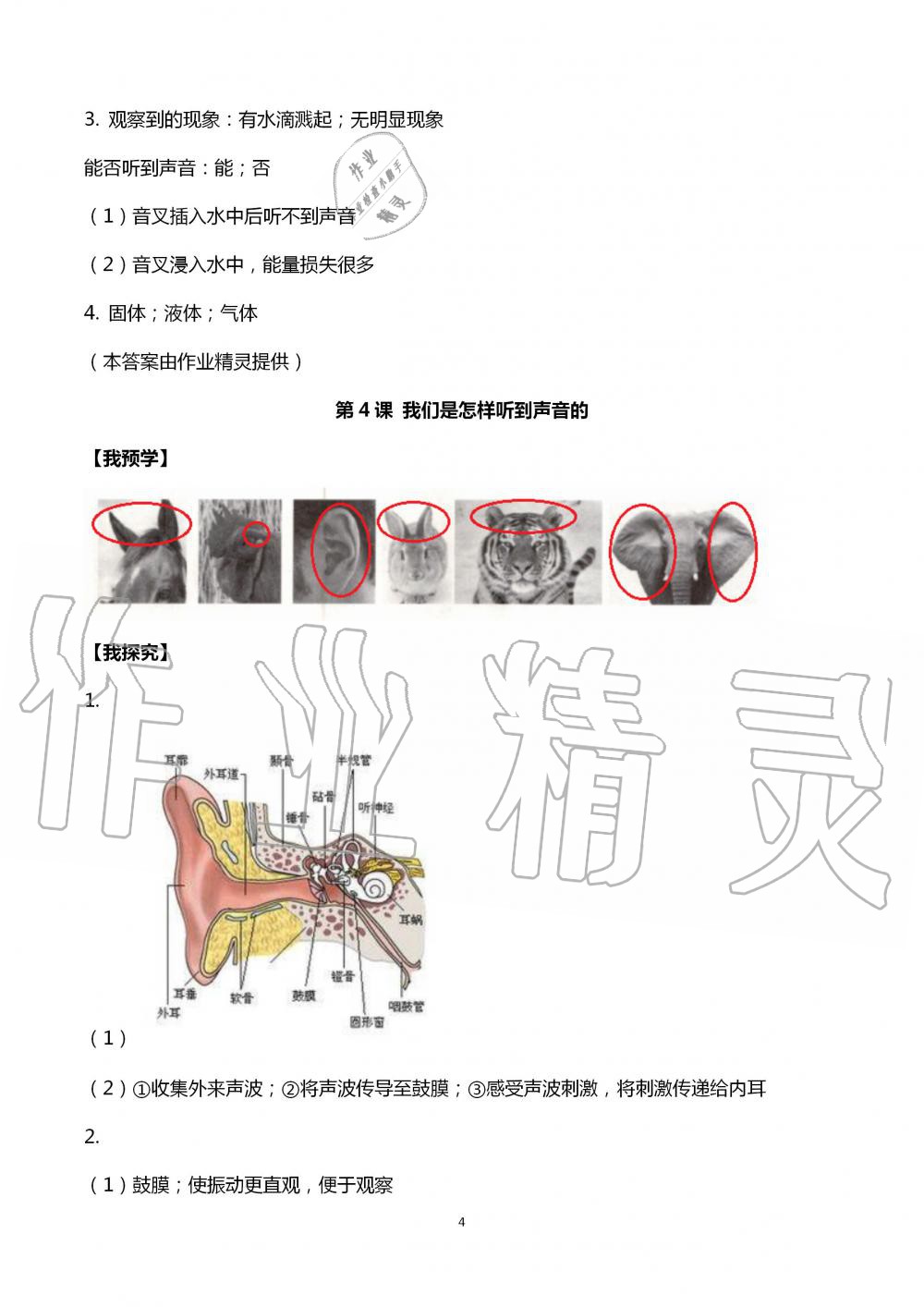 2020年导学新作业小学科学四年级上册教科版 第4页