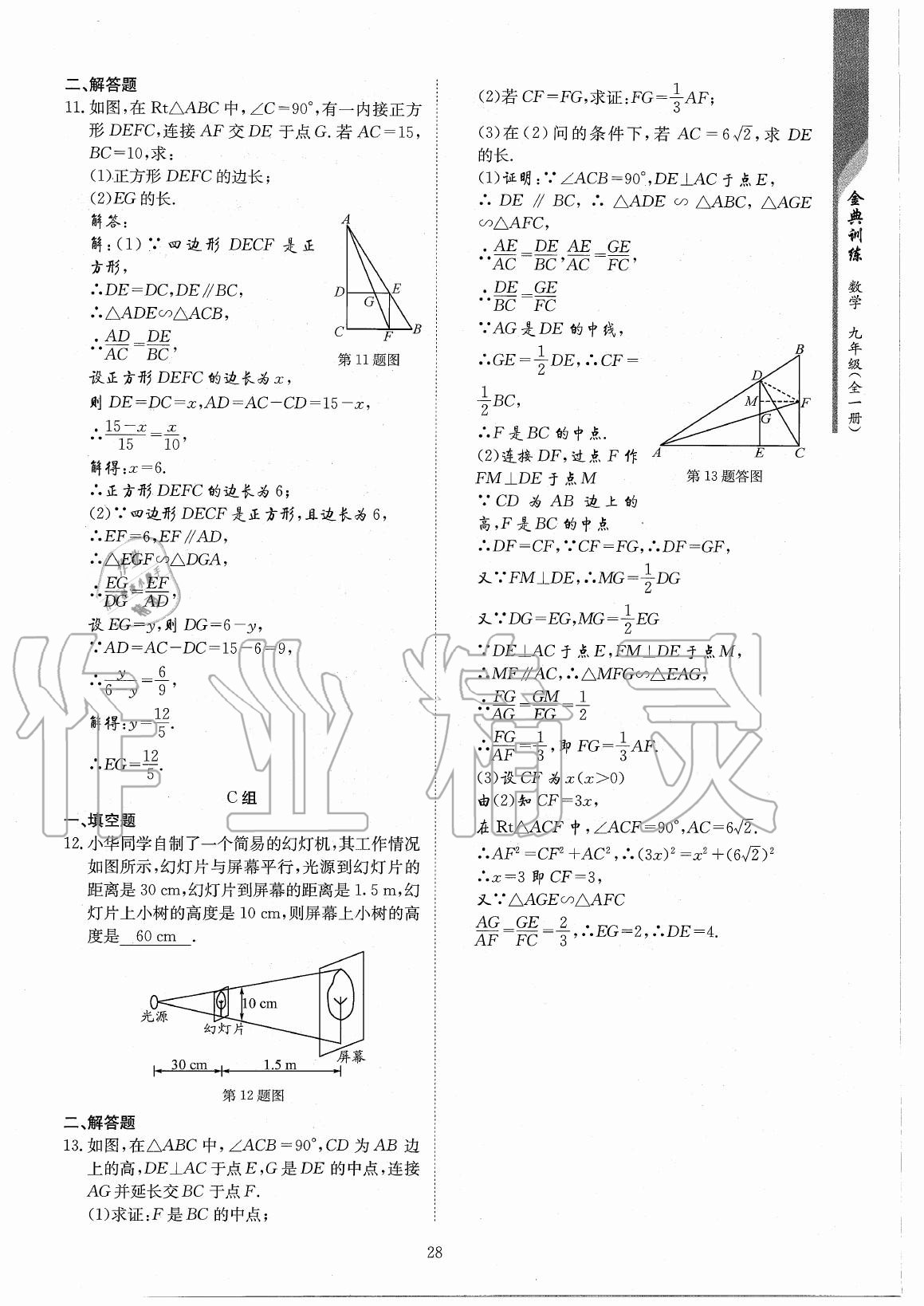 2020年金典訓(xùn)練九年級數(shù)學(xué)全一冊北師大版 參考答案第28頁