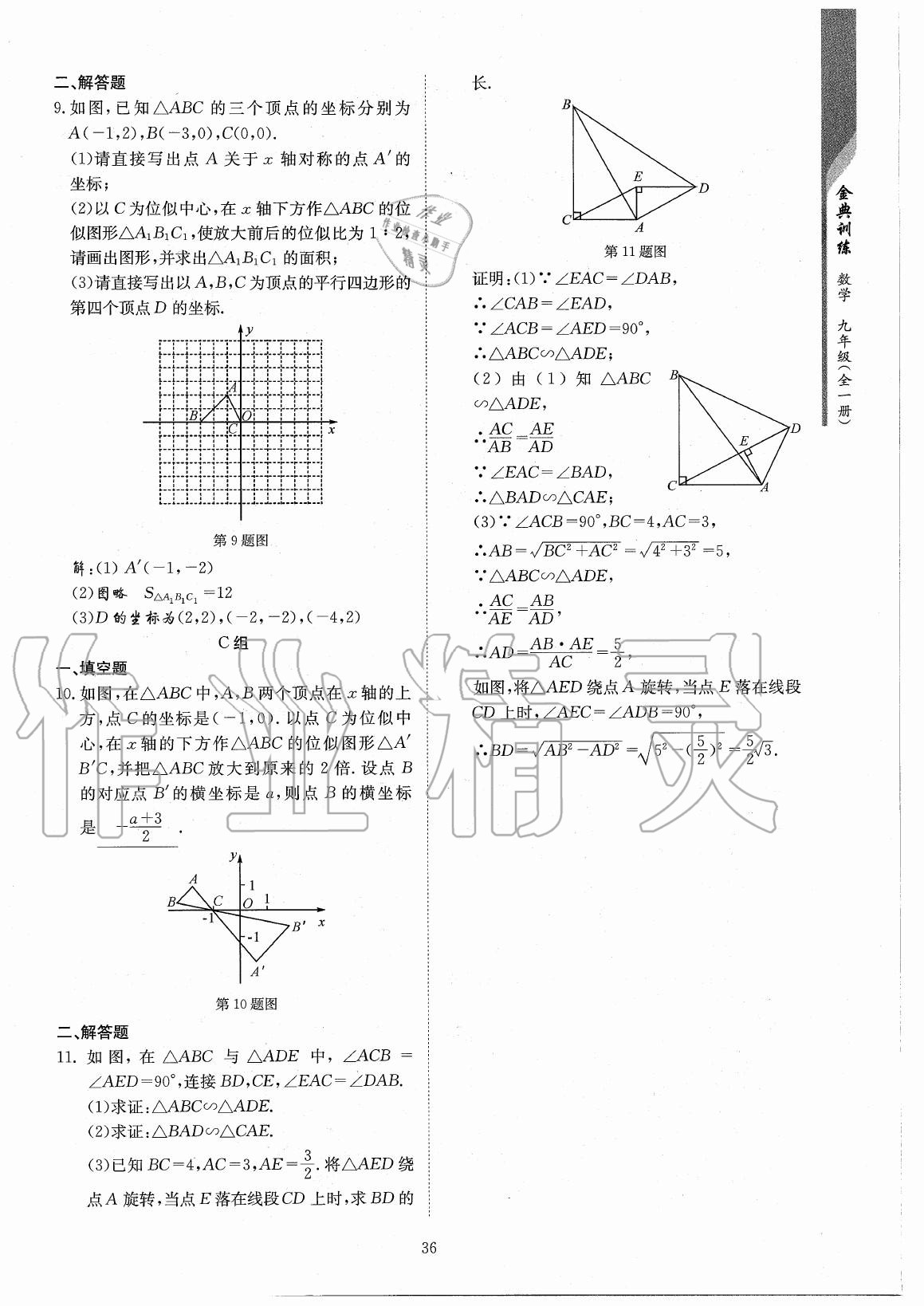 2020年金典訓(xùn)練九年級數(shù)學(xué)全一冊北師大版 參考答案第36頁