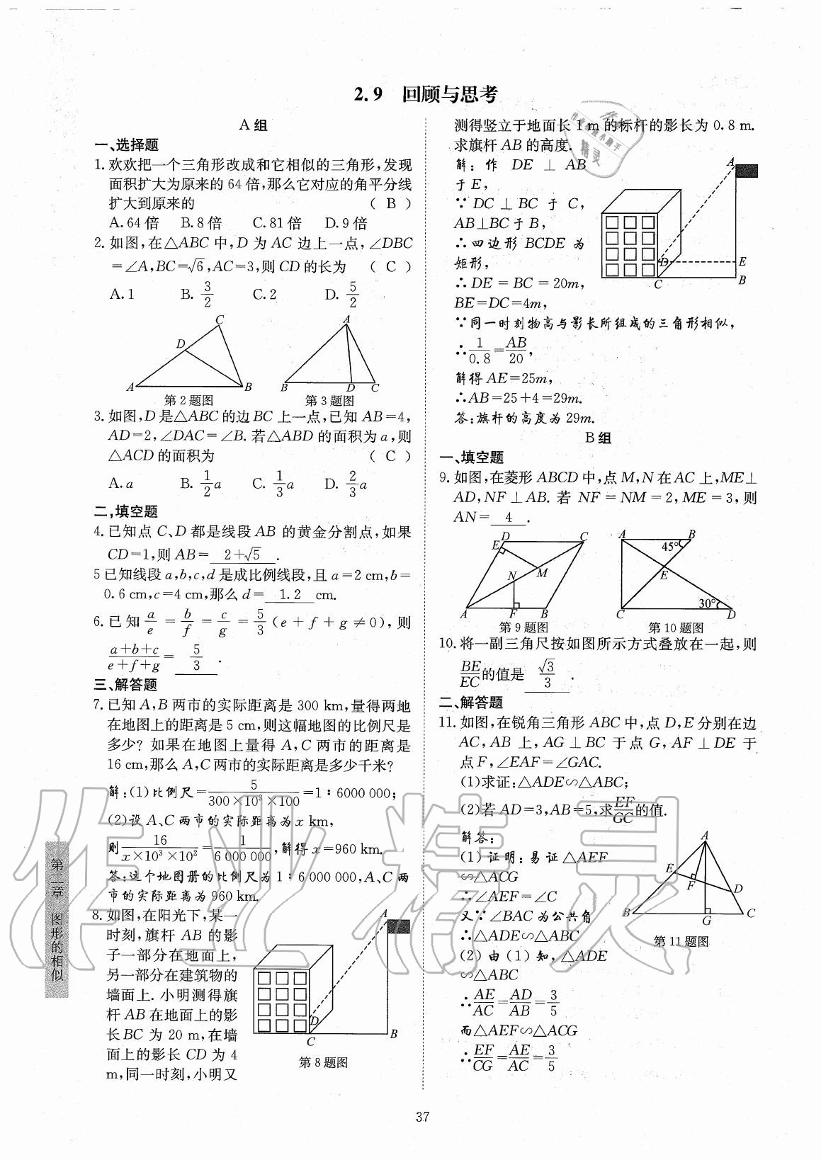 2020年金典訓(xùn)練九年級(jí)數(shù)學(xué)全一冊(cè)北師大版 參考答案第37頁(yè)