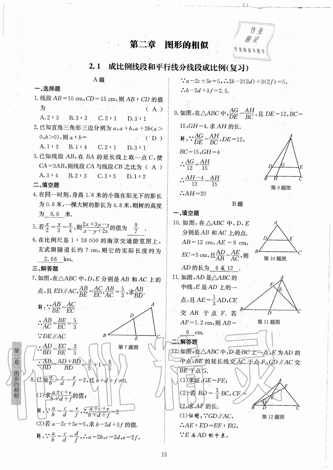 2020年金典训练九年级数学全一册北师大版 参考答案第15页