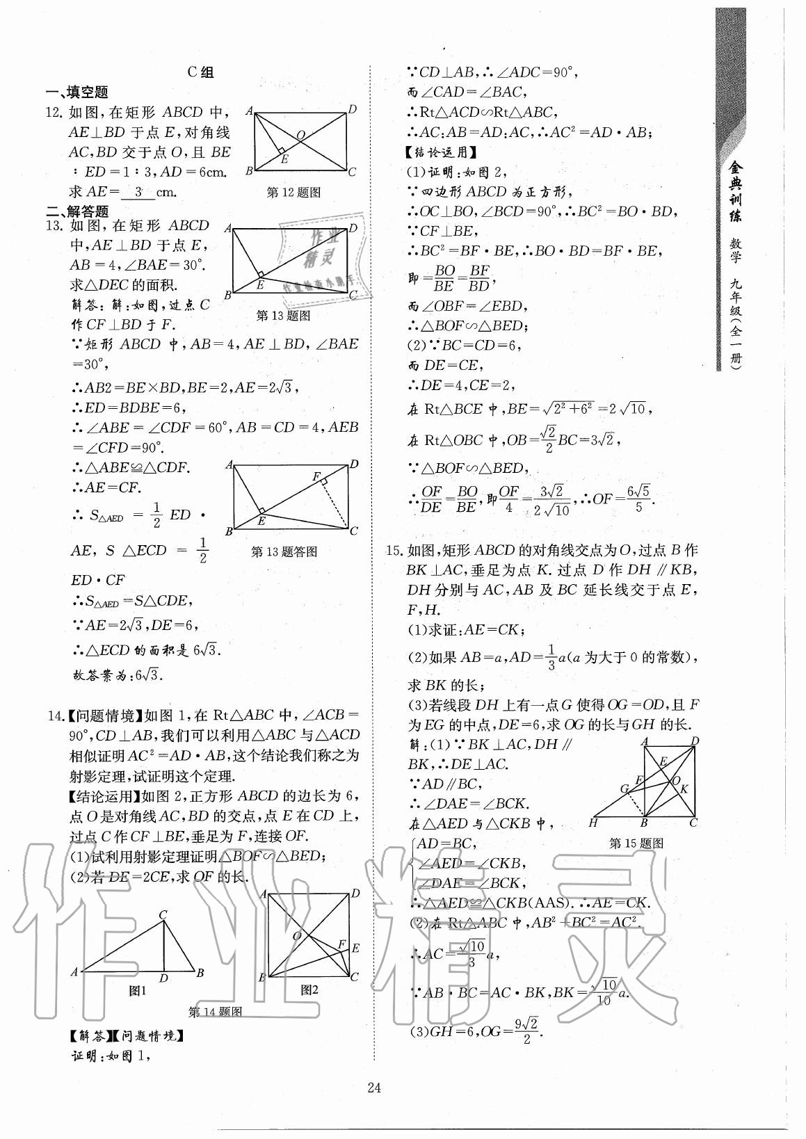 2020年金典训练九年级数学全一册北师大版 参考答案第24页