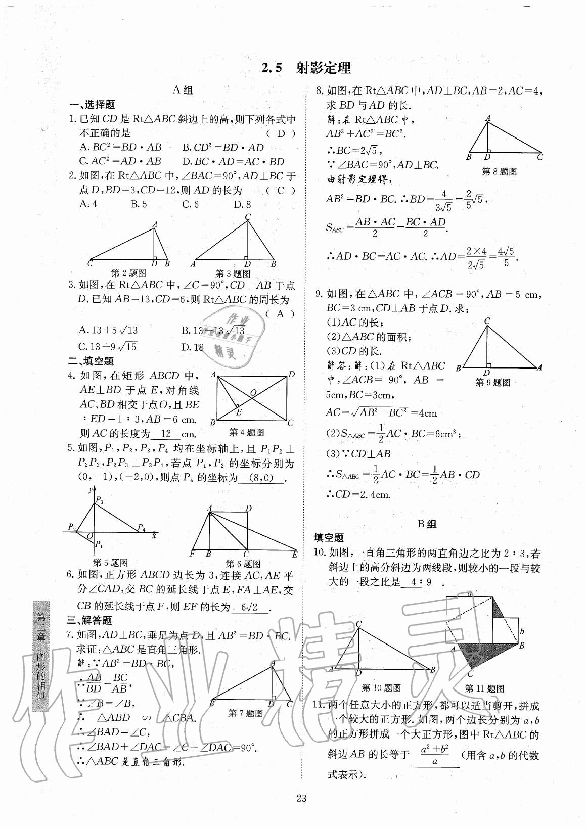 2020年金典训练九年级数学全一册北师大版 参考答案第23页