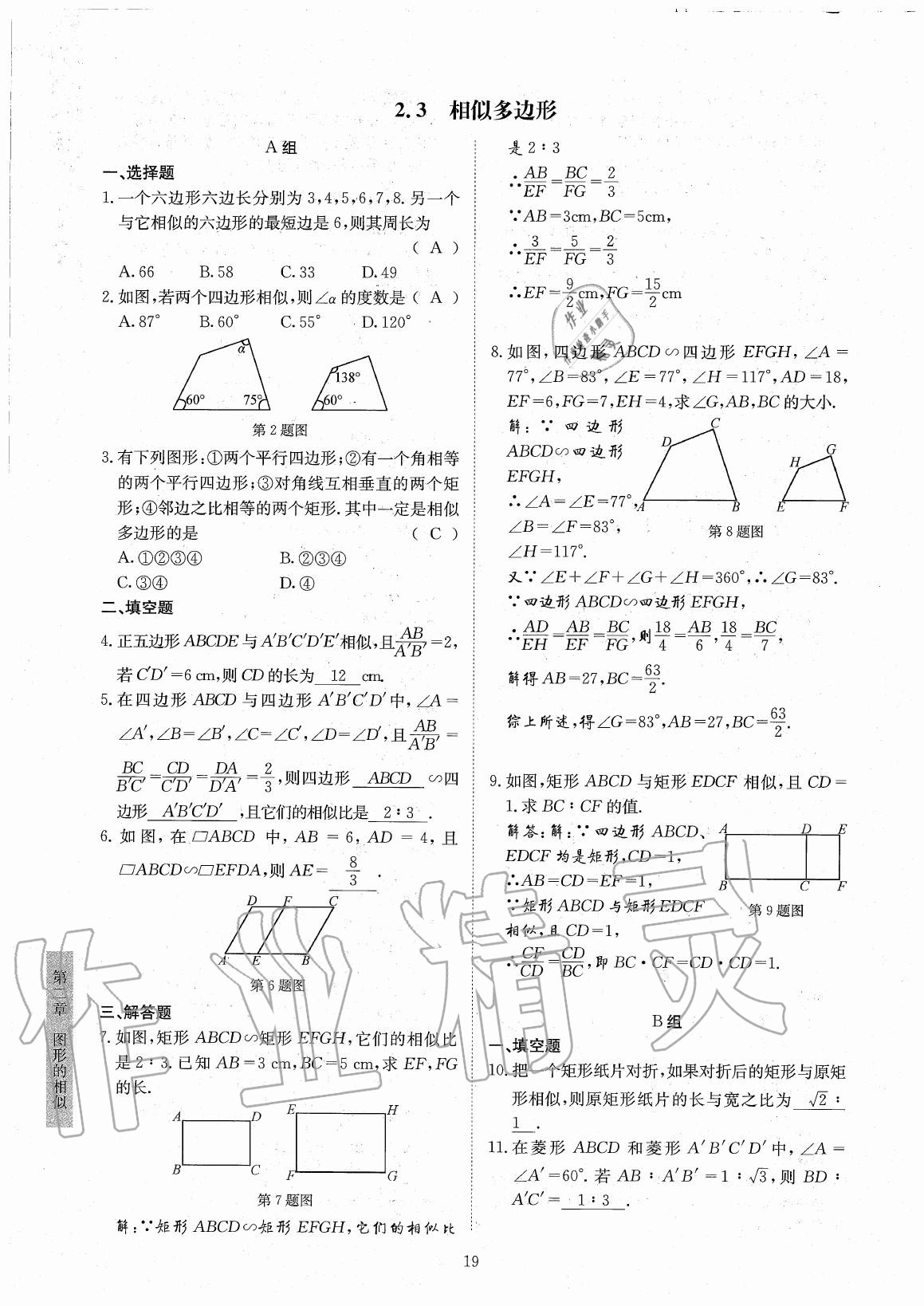 2020年金典訓(xùn)練九年級(jí)數(shù)學(xué)全一冊(cè)北師大版 參考答案第19頁