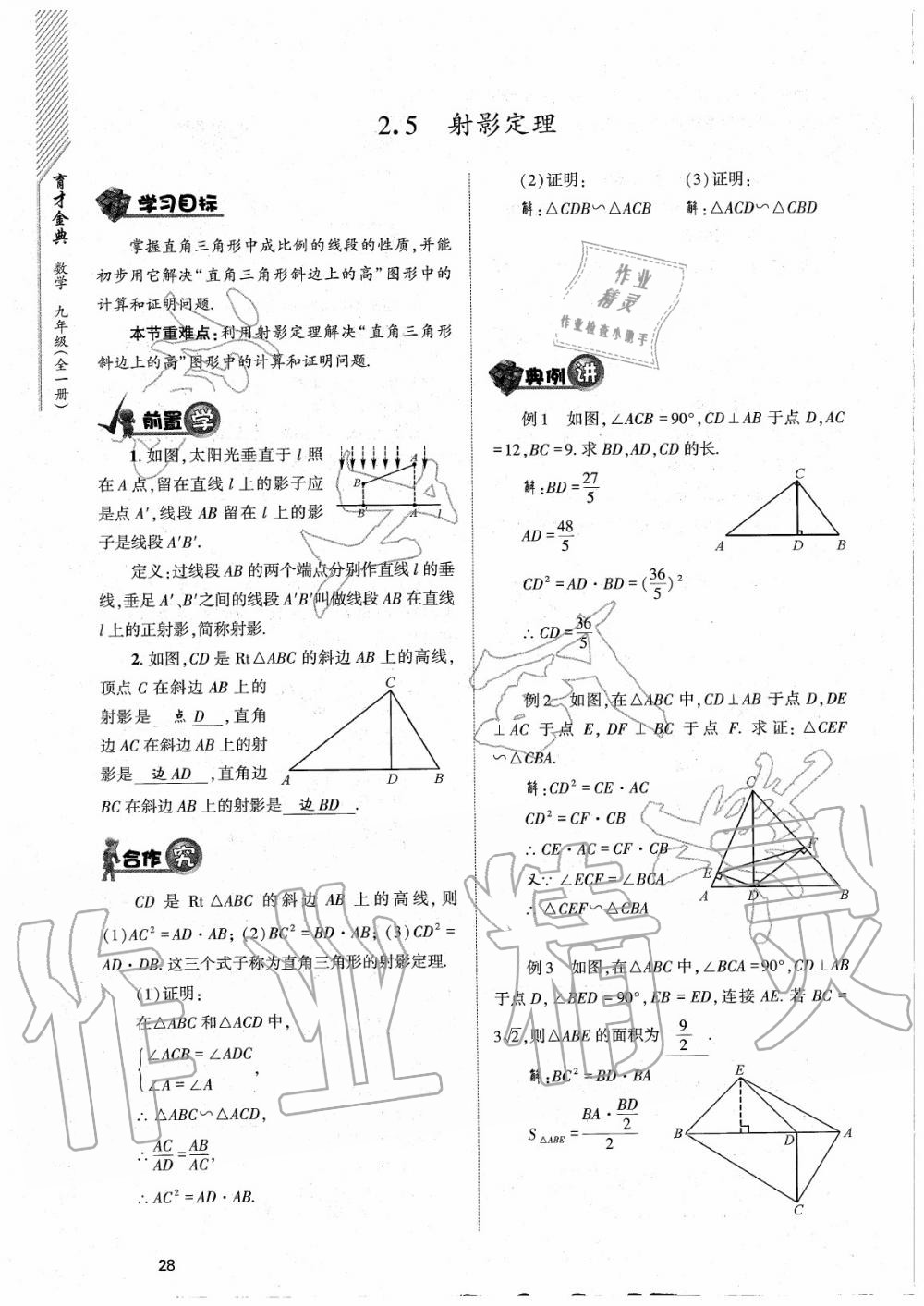 2020年育才金典九年級(jí)數(shù)學(xué)全一冊(cè)北師大版 參考答案第28頁(yè)