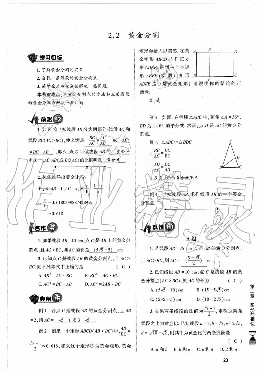 2020年育才金典九年級(jí)數(shù)學(xué)全一冊(cè)北師大版 參考答案第23頁