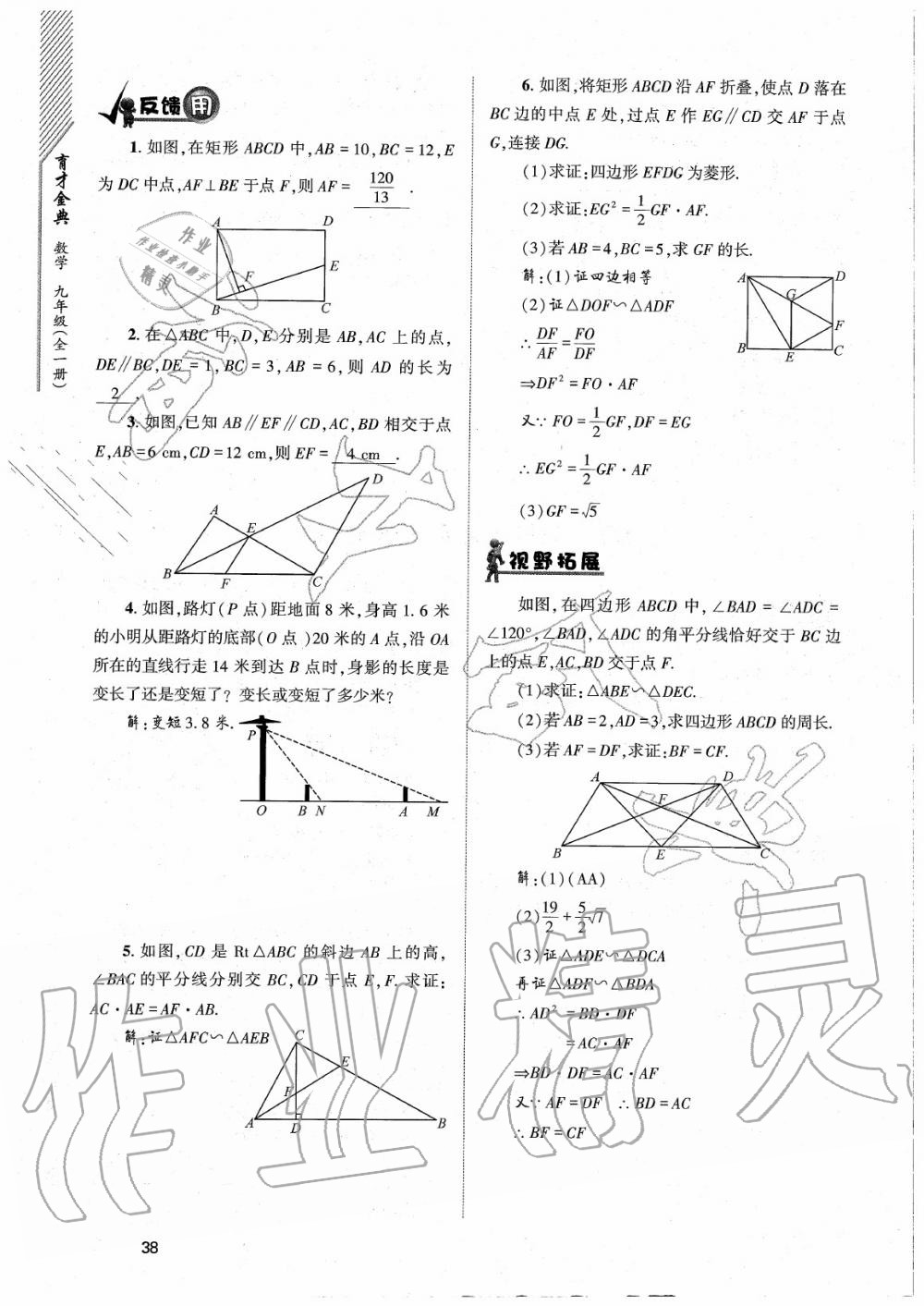 2020年育才金典九年級數(shù)學(xué)全一冊北師大版 參考答案第38頁