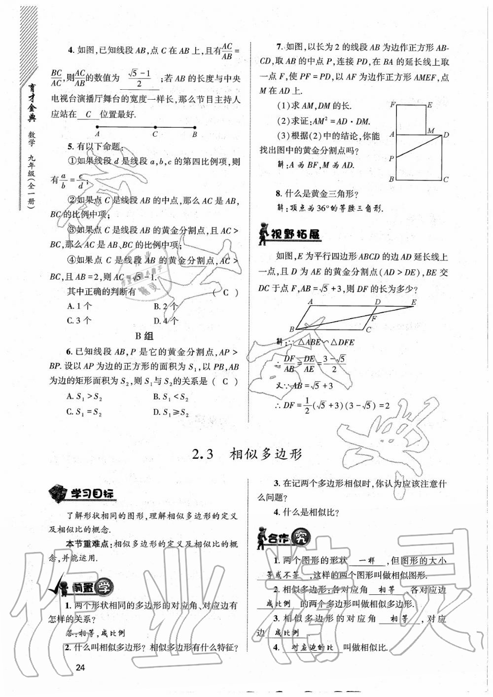 2020年育才金典九年級(jí)數(shù)學(xué)全一冊(cè)北師大版 參考答案第24頁(yè)