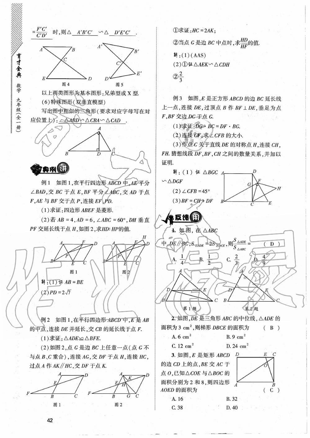 2020年育才金典九年級數(shù)學(xué)全一冊北師大版 參考答案第42頁