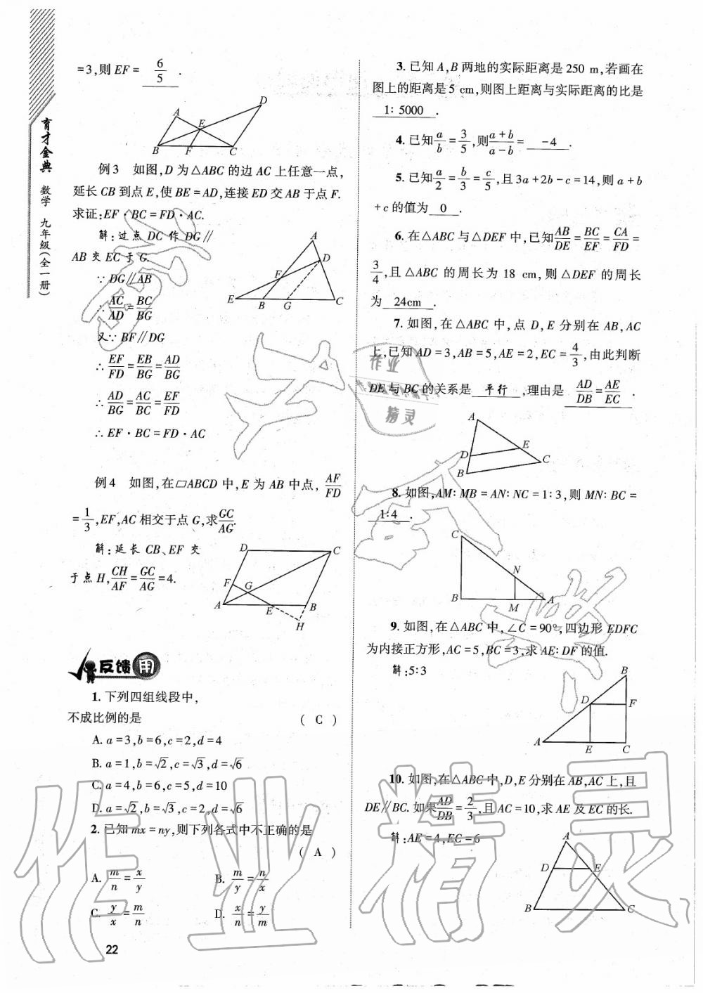 2020年育才金典九年級數(shù)學(xué)全一冊北師大版 參考答案第22頁