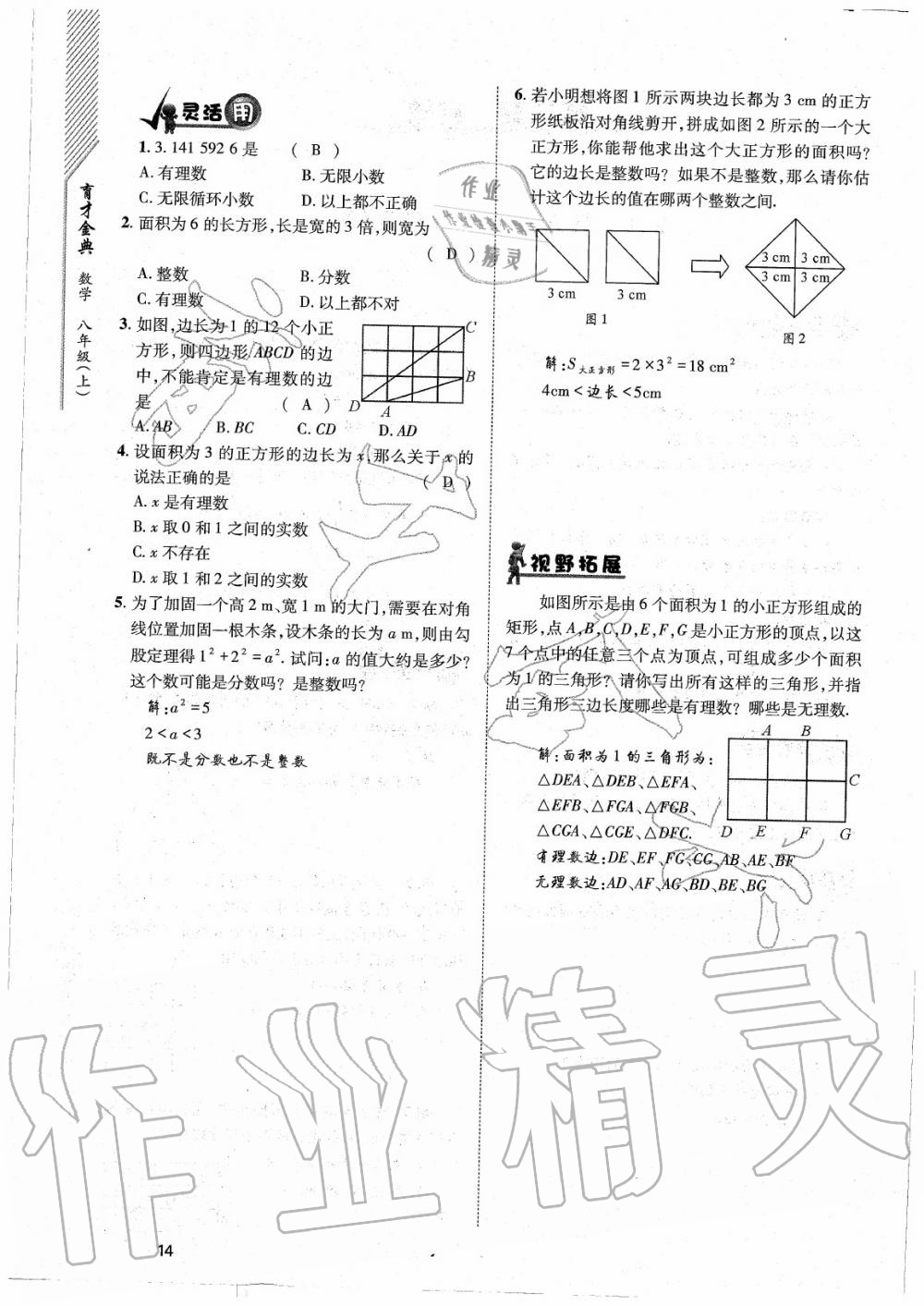 2020年育才金典八年級數(shù)學(xué)上冊北師大版 參考答案第14頁