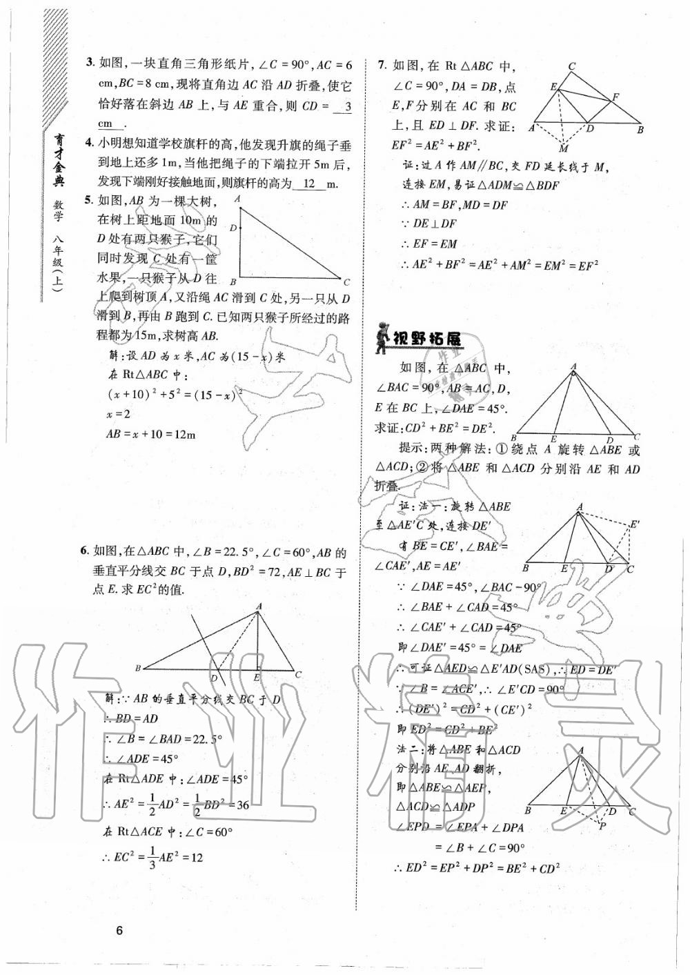 2020年育才金典八年級(jí)數(shù)學(xué)上冊(cè)北師大版 參考答案第6頁(yè)