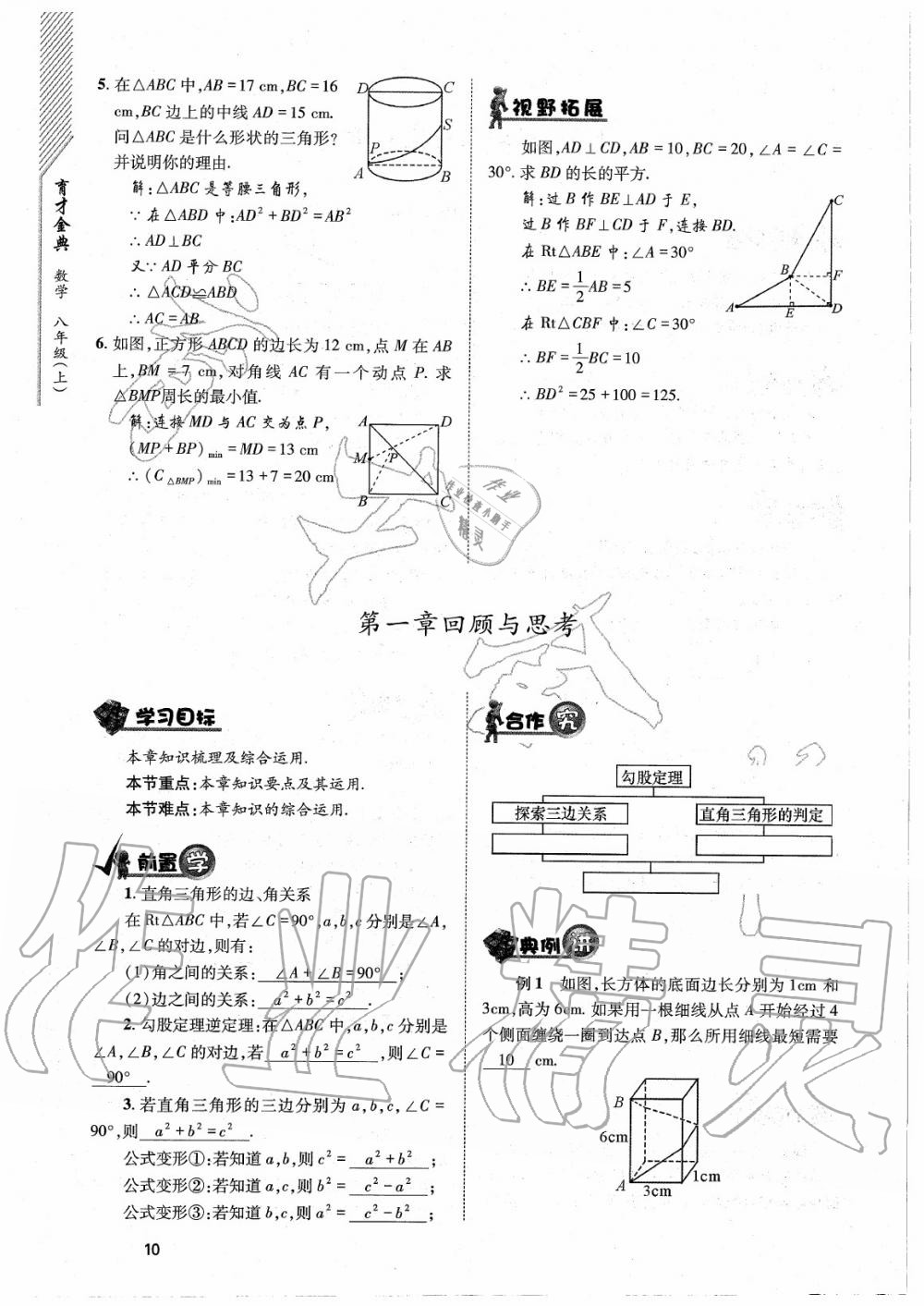 2020年育才金典八年級(jí)數(shù)學(xué)上冊(cè)北師大版 參考答案第10頁(yè)