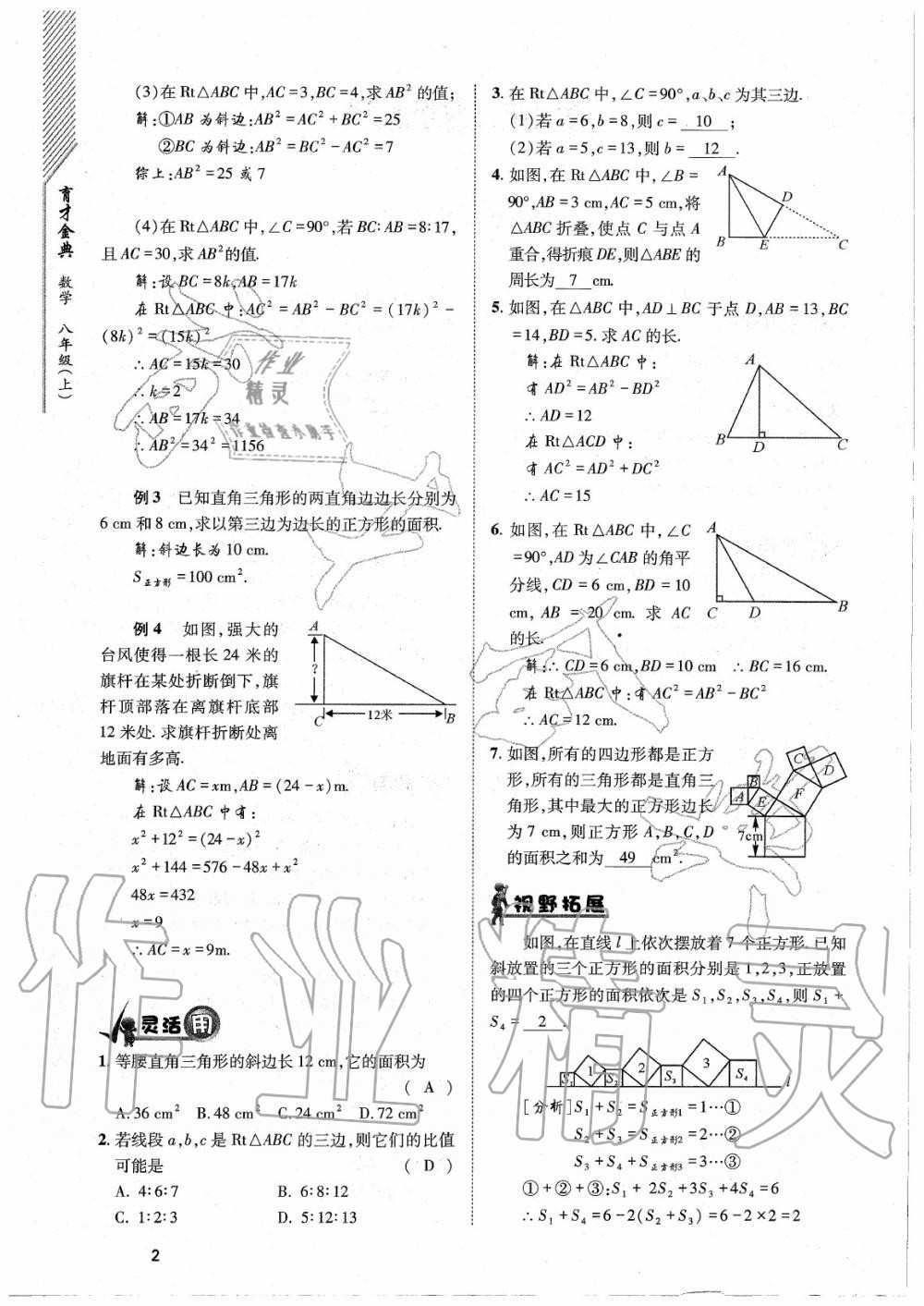 2020年育才金典八年級數(shù)學上冊北師大版 參考答案第2頁