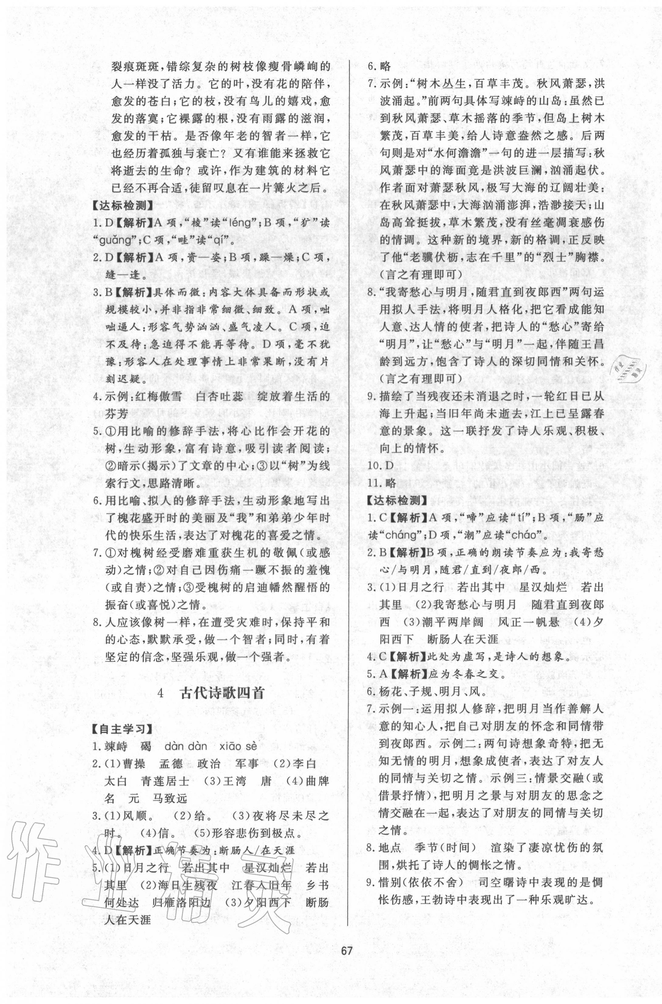 2020年新課程學(xué)習(xí)與檢測七年級語文上冊人教版 第3頁