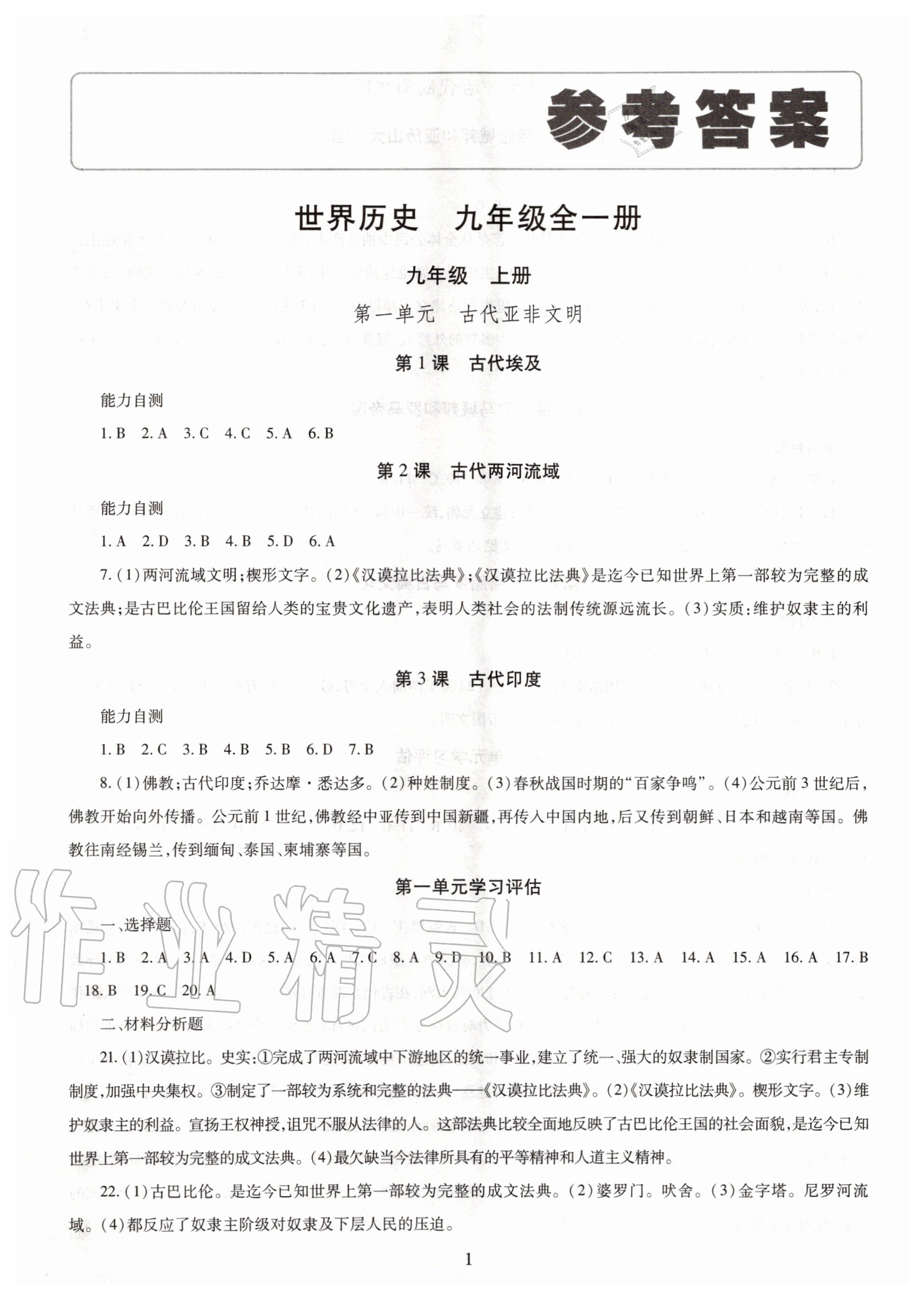 2020年智慧學(xué)習(xí)九年級世界歷史全一冊人教版明天出版社 第1頁