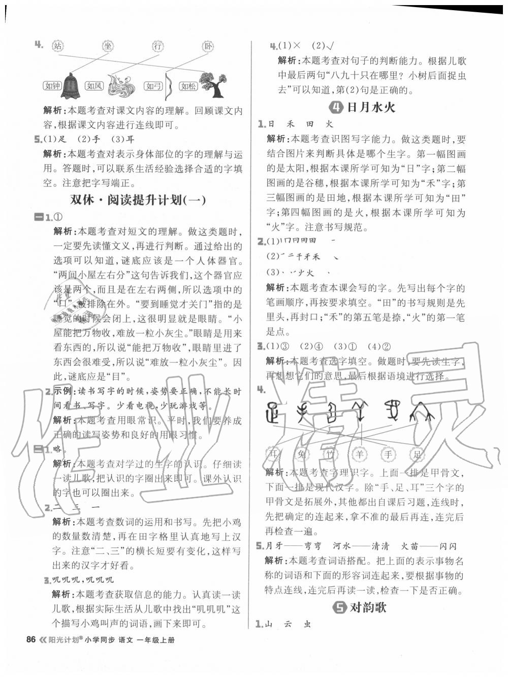 2020年陽光計劃小學同步一年級語文上冊人教版 參考答案第2頁