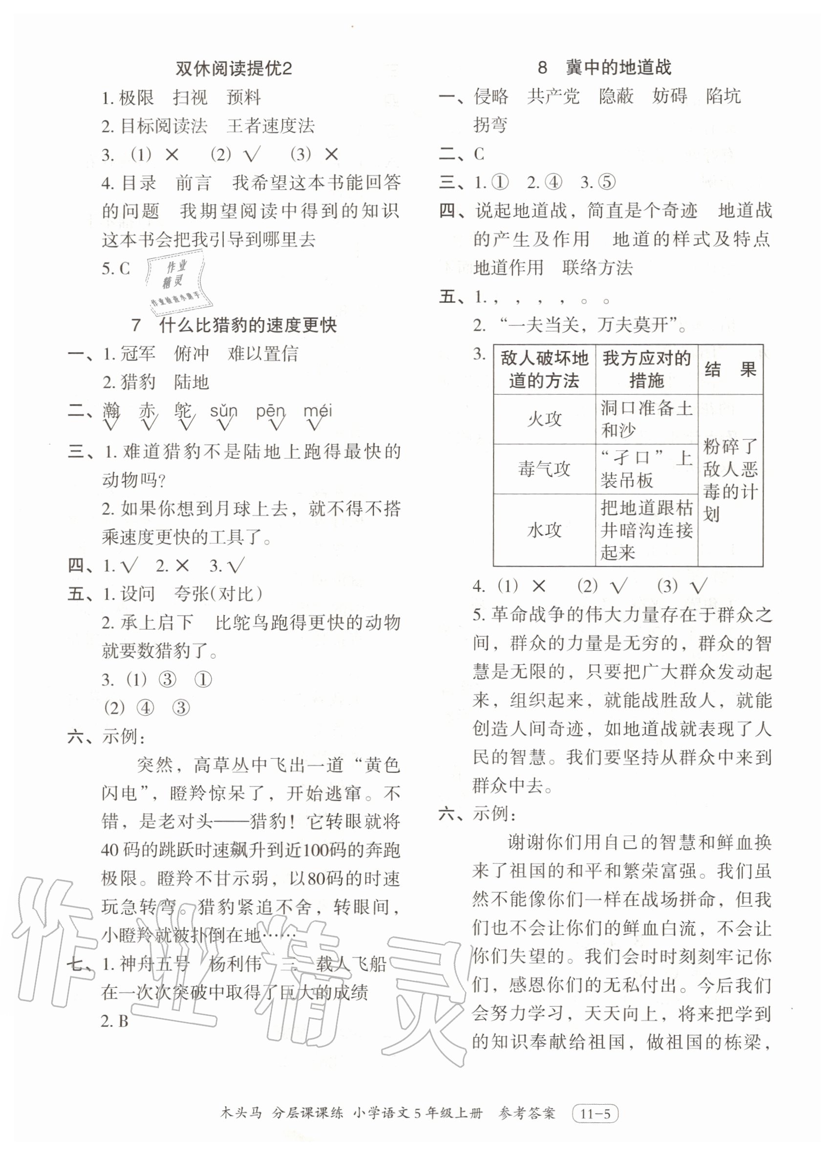 2020年木头马分层课课练小学语文五年级上册人教版 第5页