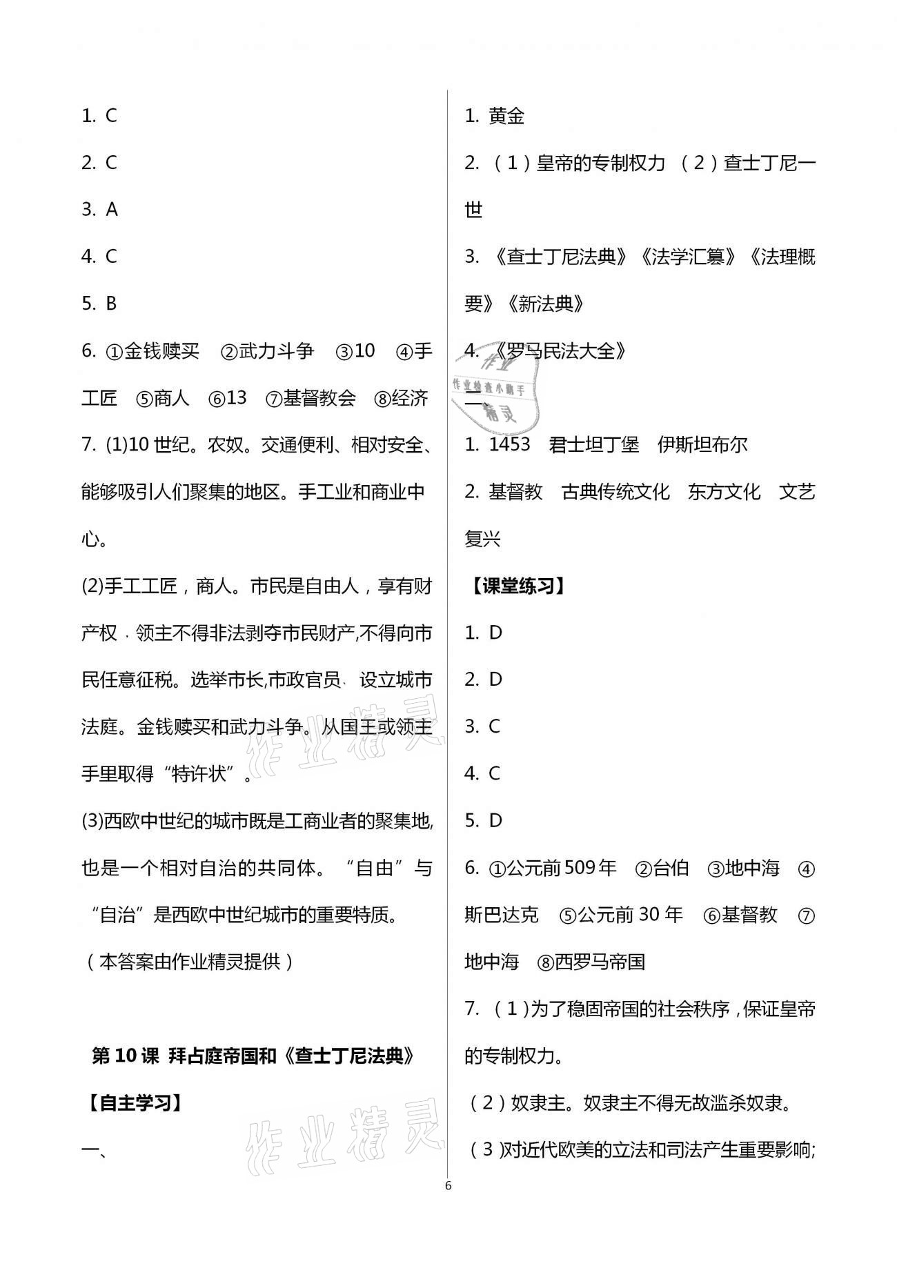2020年初中學練案九年級歷史全一冊人教版 第6頁
