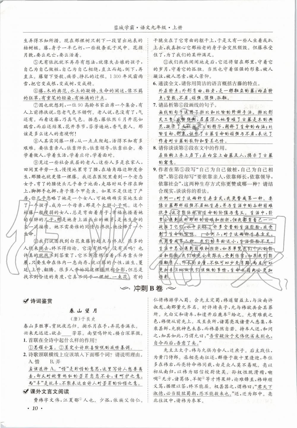 2020年蓉城学霸九年级语文上册人教版 参考答案第10页