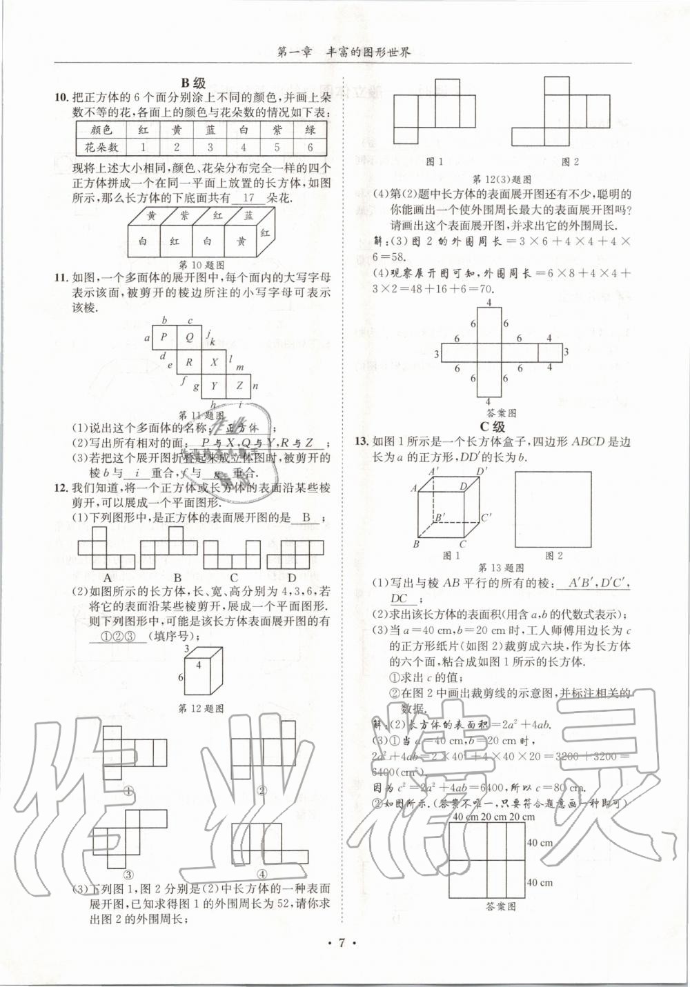 2020年蓉城学霸七年级数学上册北师大版 参考答案第7页