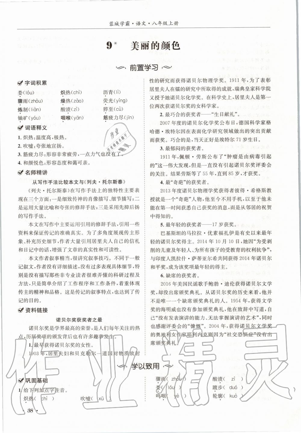 2020年蓉城學霸八年級語文上冊人教版 參考答案第38頁