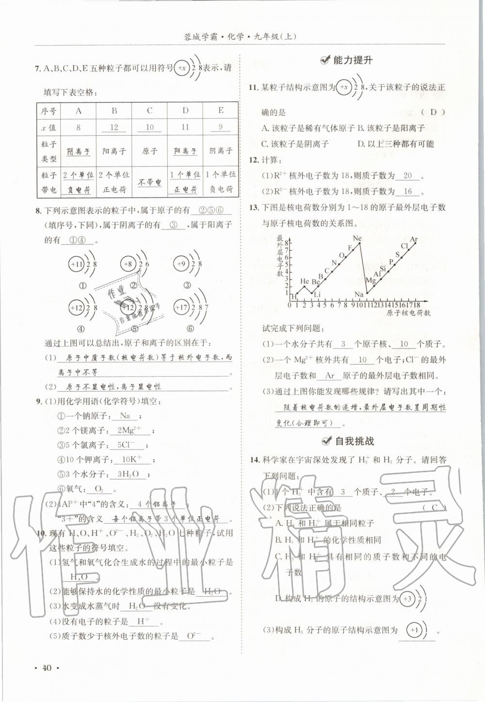 2020年蓉城學(xué)霸九年級化學(xué)上冊人教版 第40頁