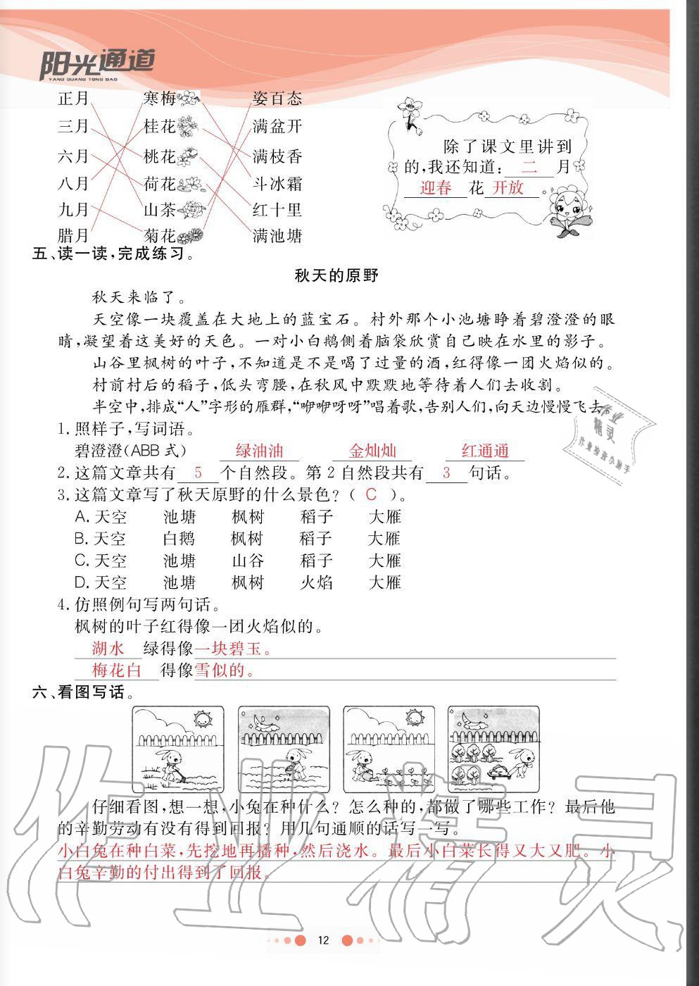 2020年陽(yáng)光通道二年級(jí)語(yǔ)文上冊(cè)人教版 參考答案第12頁(yè)