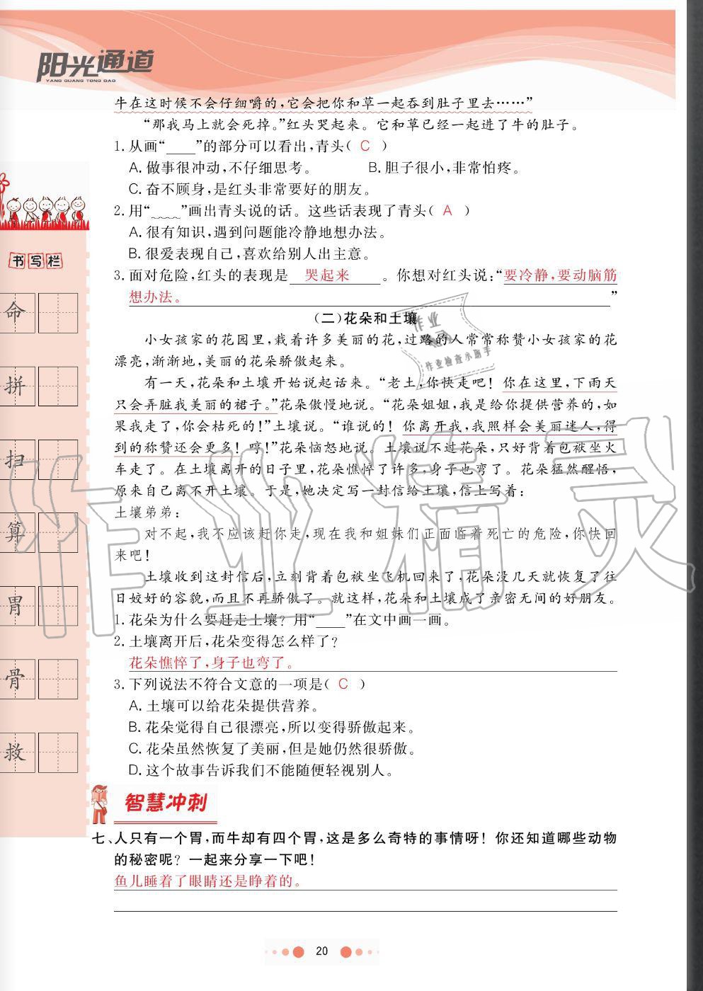 2020年陽光通道三年級(jí)語文上冊(cè)人教版 參考答案第20頁