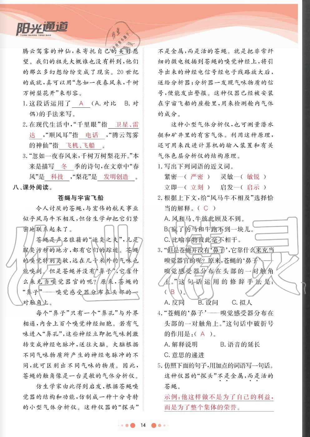 2020年陽(yáng)光通道四年級(jí)語(yǔ)文上冊(cè)人教版 參考答案第14頁(yè)