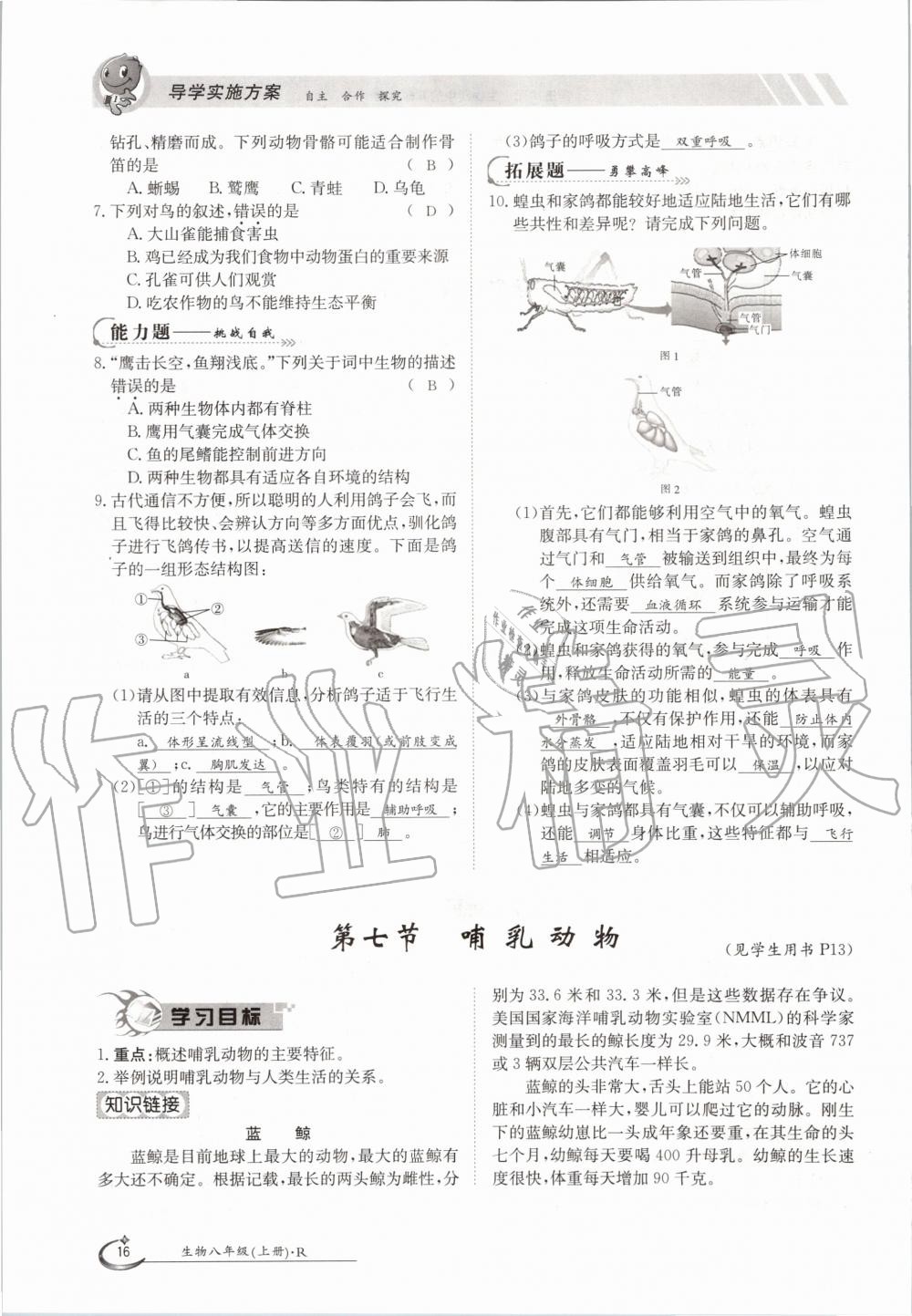 2020年三段六步导学案八年级生物上册人教版 参考答案第16页