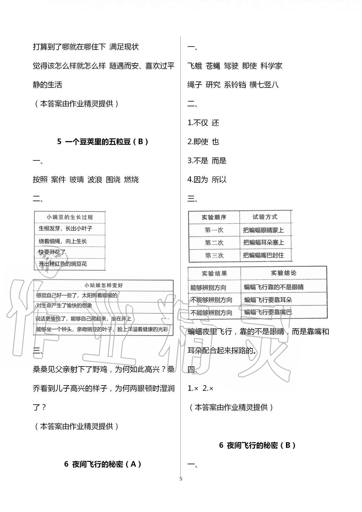 2020年阳光互动绿色成长空间四年级语文上册人教版 第5页