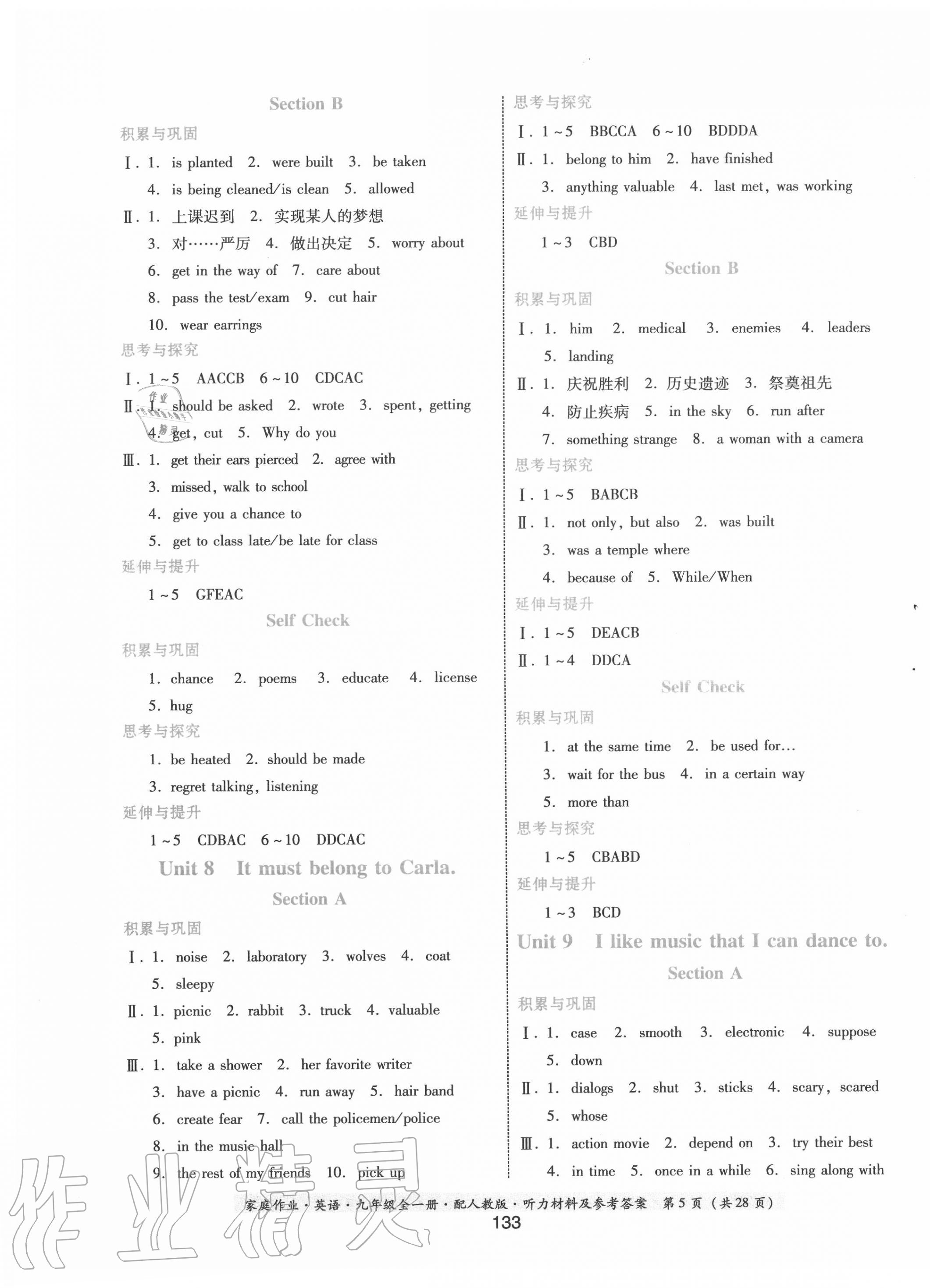 2020年家庭作業(yè)九年級英語全一冊人教版 第5頁