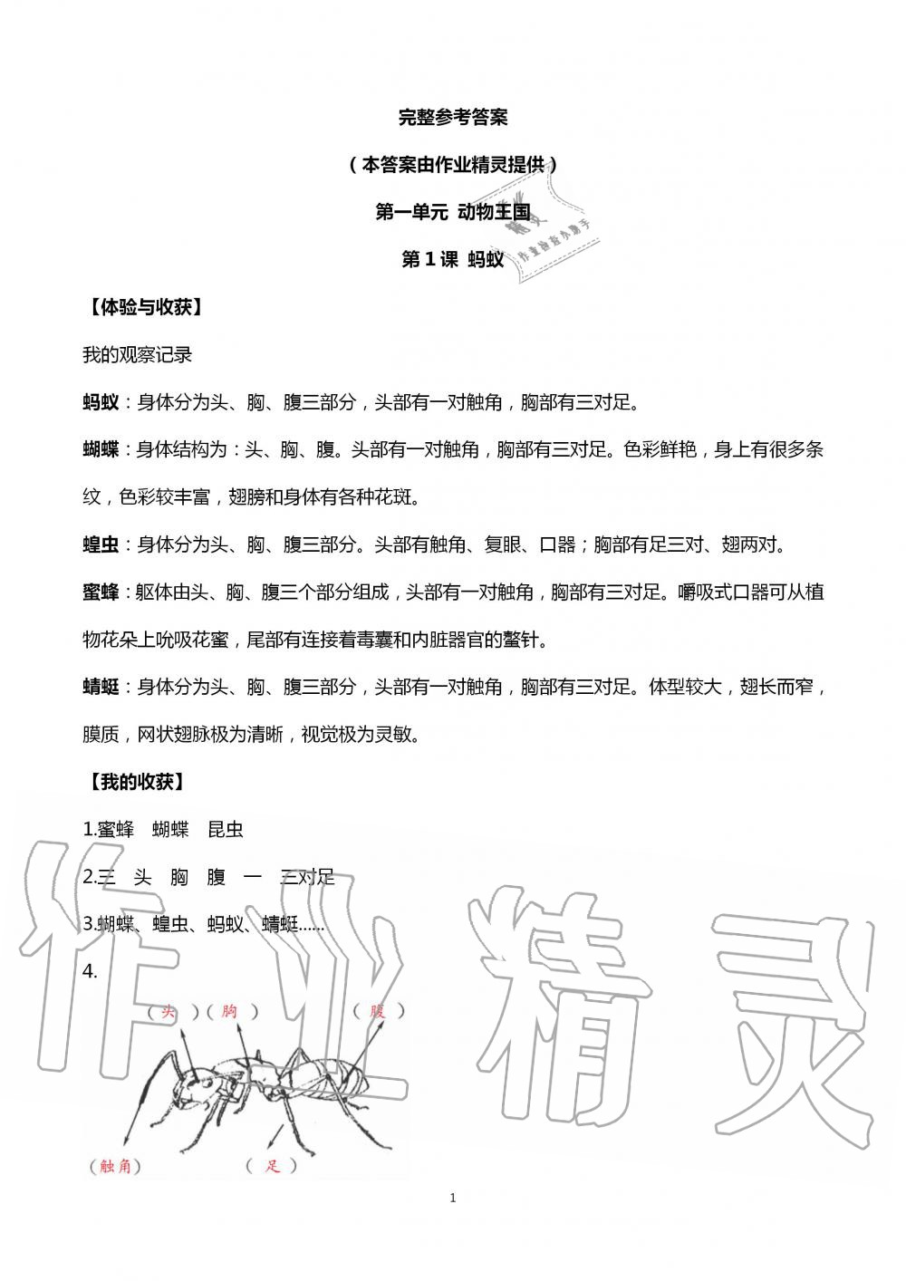 2020年新課堂同步體驗(yàn)與探究四年級(jí)科學(xué)上冊(cè)青島版 第1頁