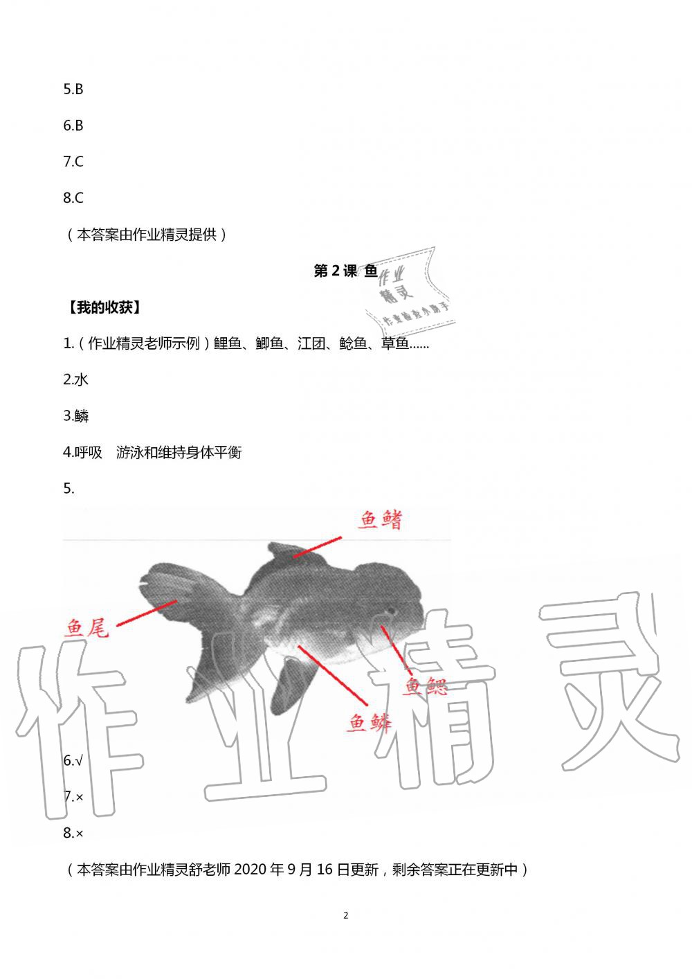 2020年新課堂同步體驗與探究四年級科學上冊青島版 第2頁