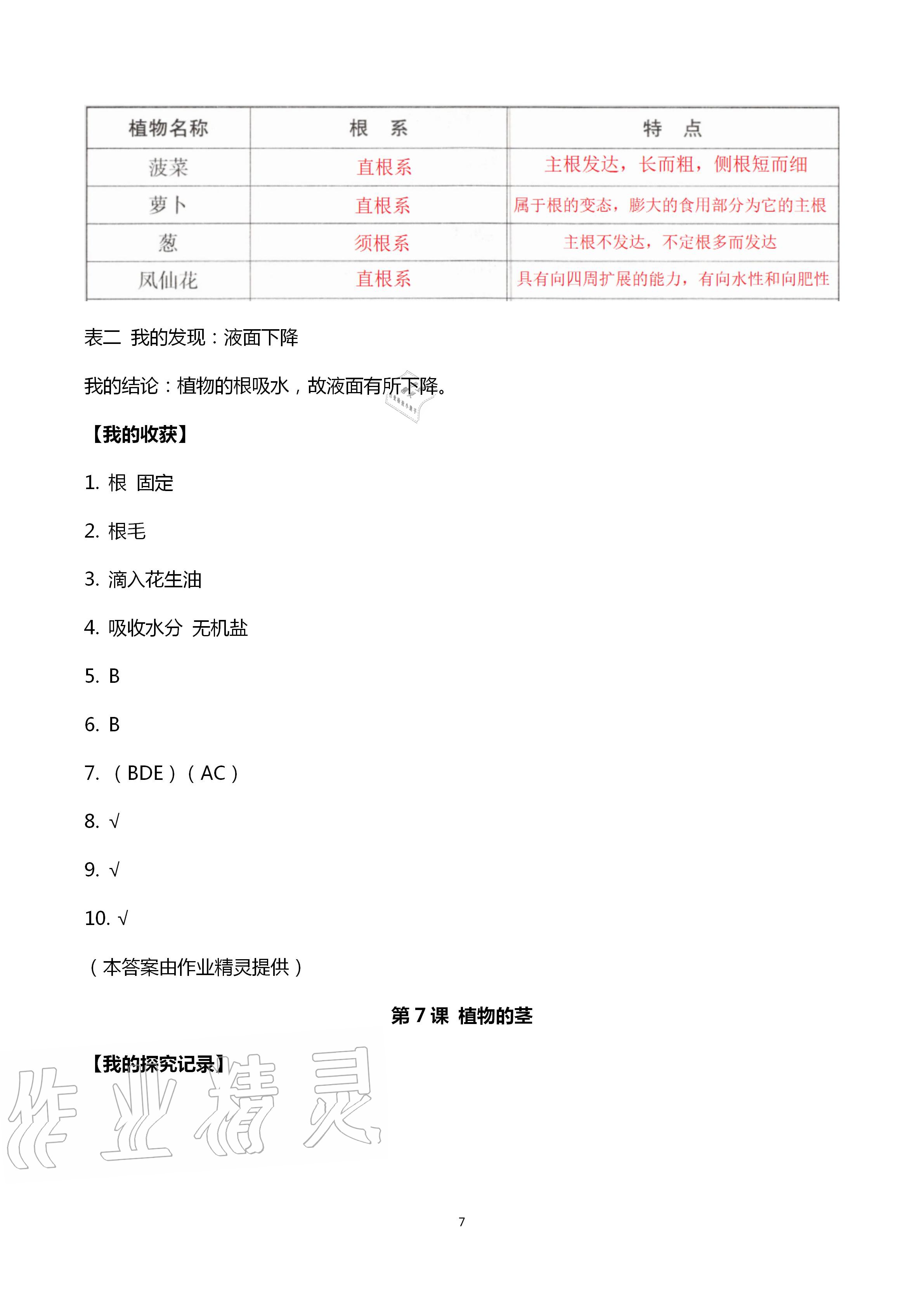 2020年新課堂同步體驗(yàn)與探究三年級(jí)科學(xué)上冊(cè)青島版 第7頁