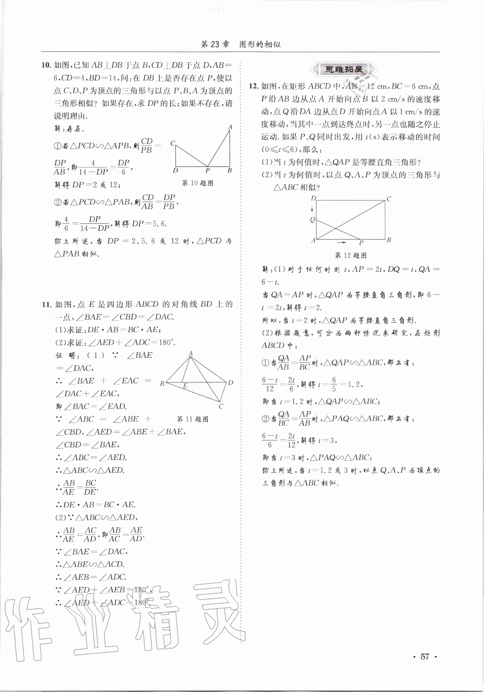 2020年培優課堂九年級數學全一冊華師大版四川專版 參考答案第57頁