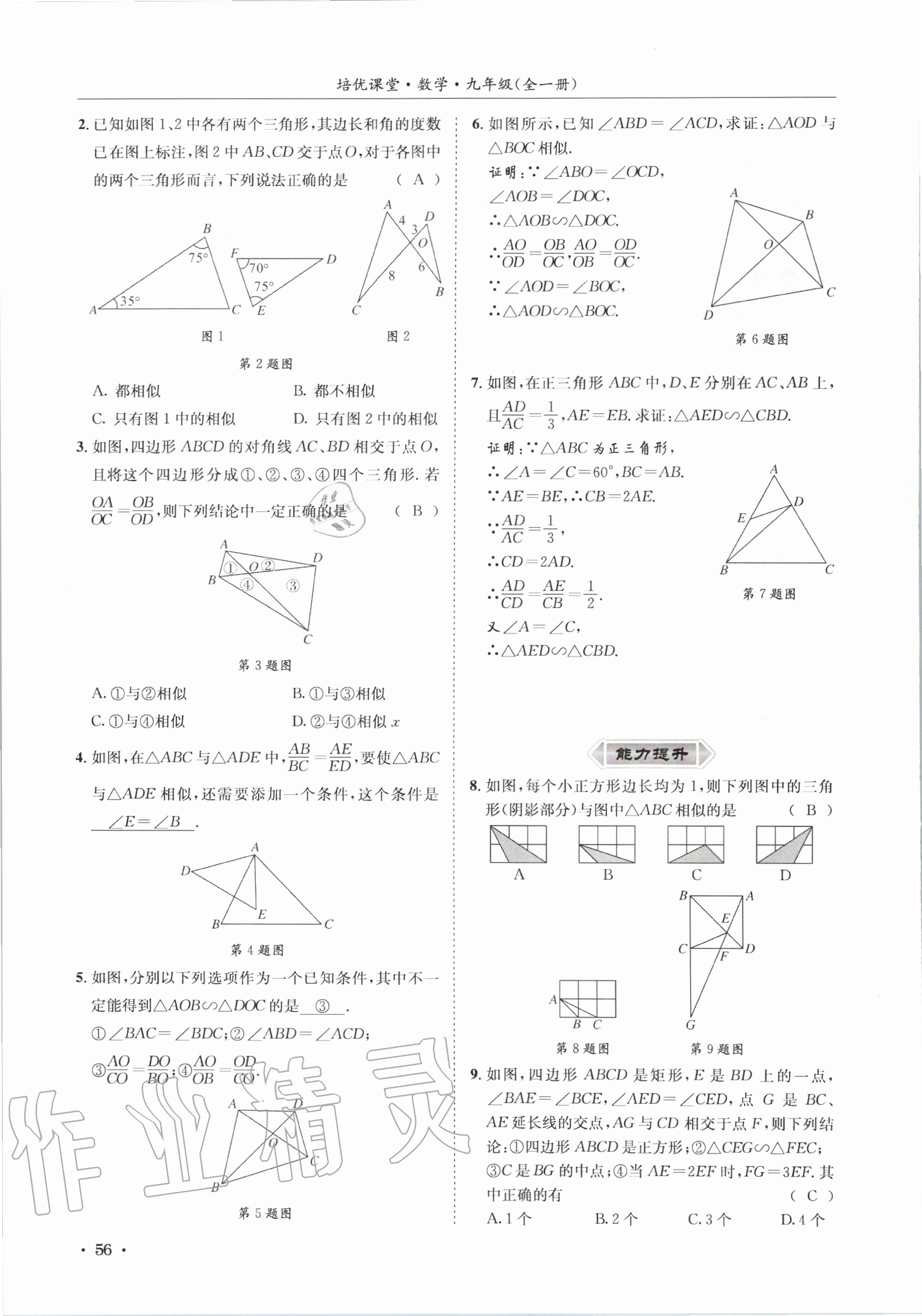 2020年培優課堂九年級數學全一冊華師大版四川專版 參考答案第56頁