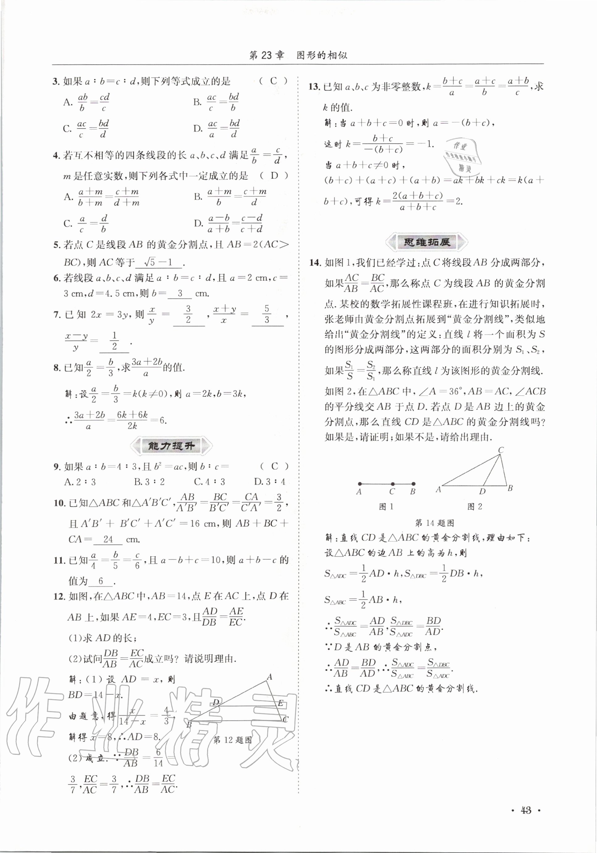 2020年培優課堂九年級數學全一冊華師大版四川專版 參考答案第43頁