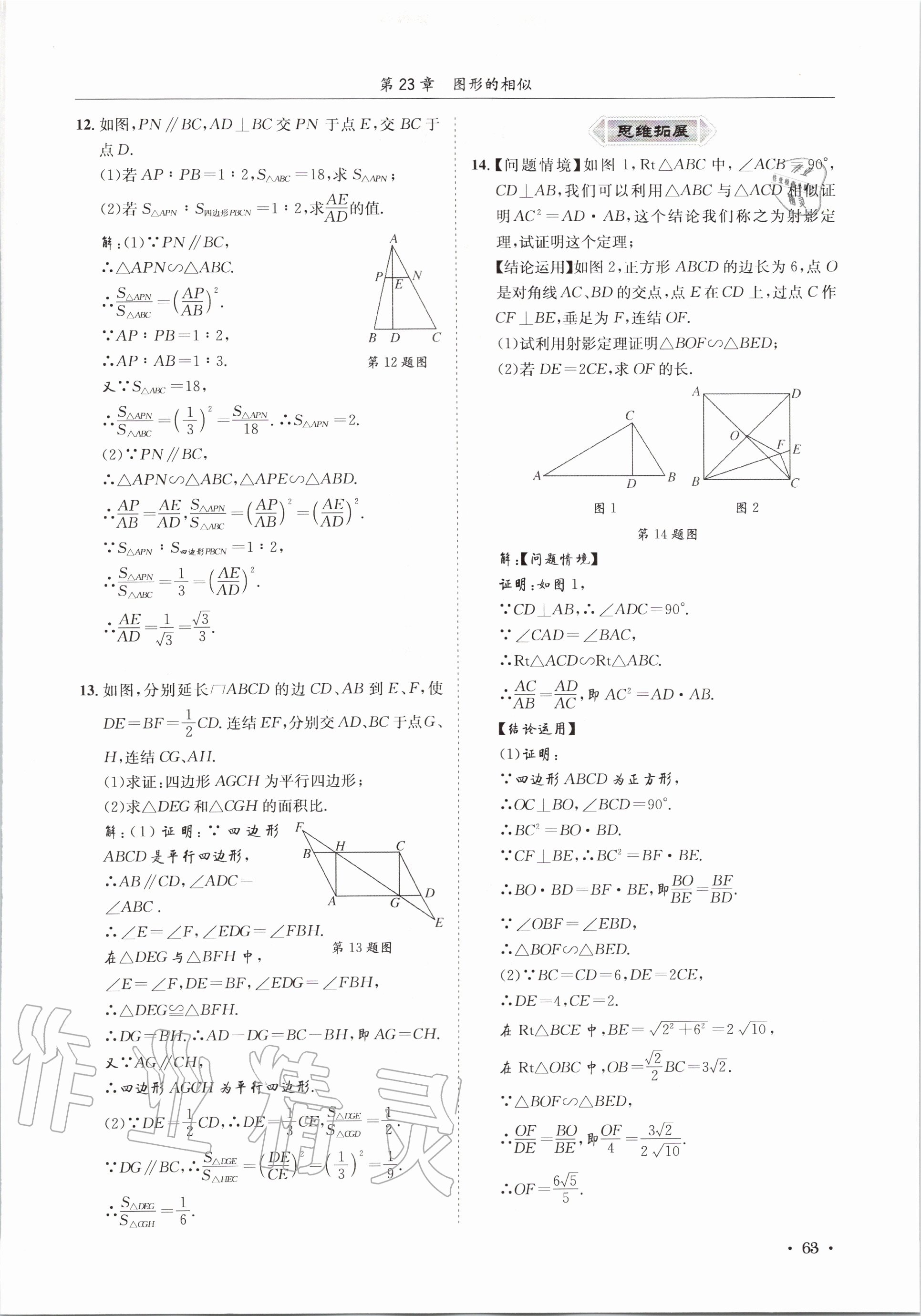 2020年培優(yōu)課堂九年級數(shù)學(xué)全一冊華師大版四川專版 參考答案第63頁