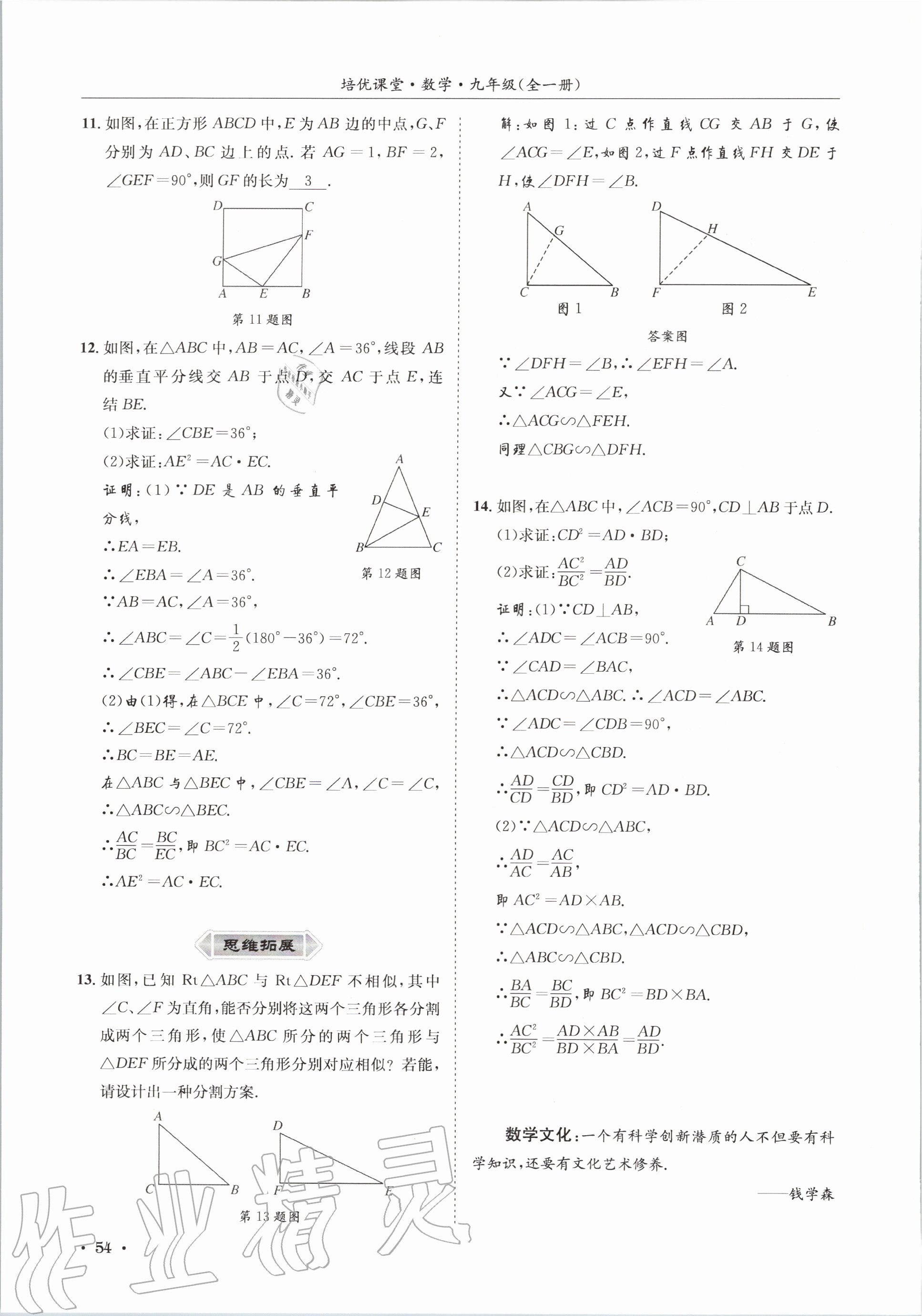 2020年培優課堂九年級數學全一冊華師大版四川專版 參考答案第54頁