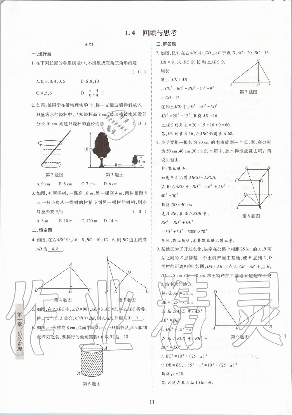 2020年金典訓(xùn)練八年級(jí)數(shù)學(xué)上冊(cè)北師大版 參考答案第11頁