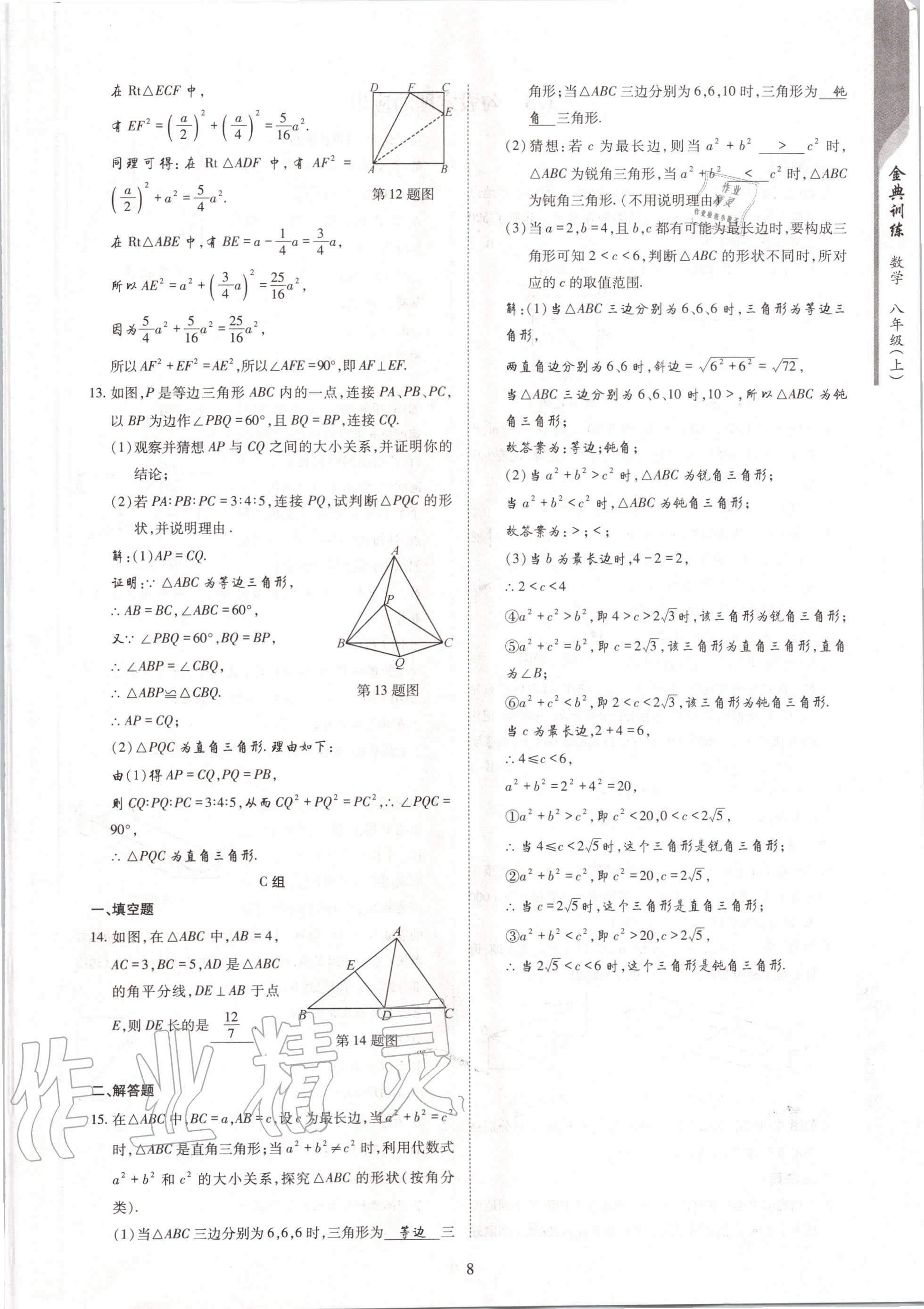 2020年金典訓(xùn)練八年級數(shù)學(xué)上冊北師大版 參考答案第8頁