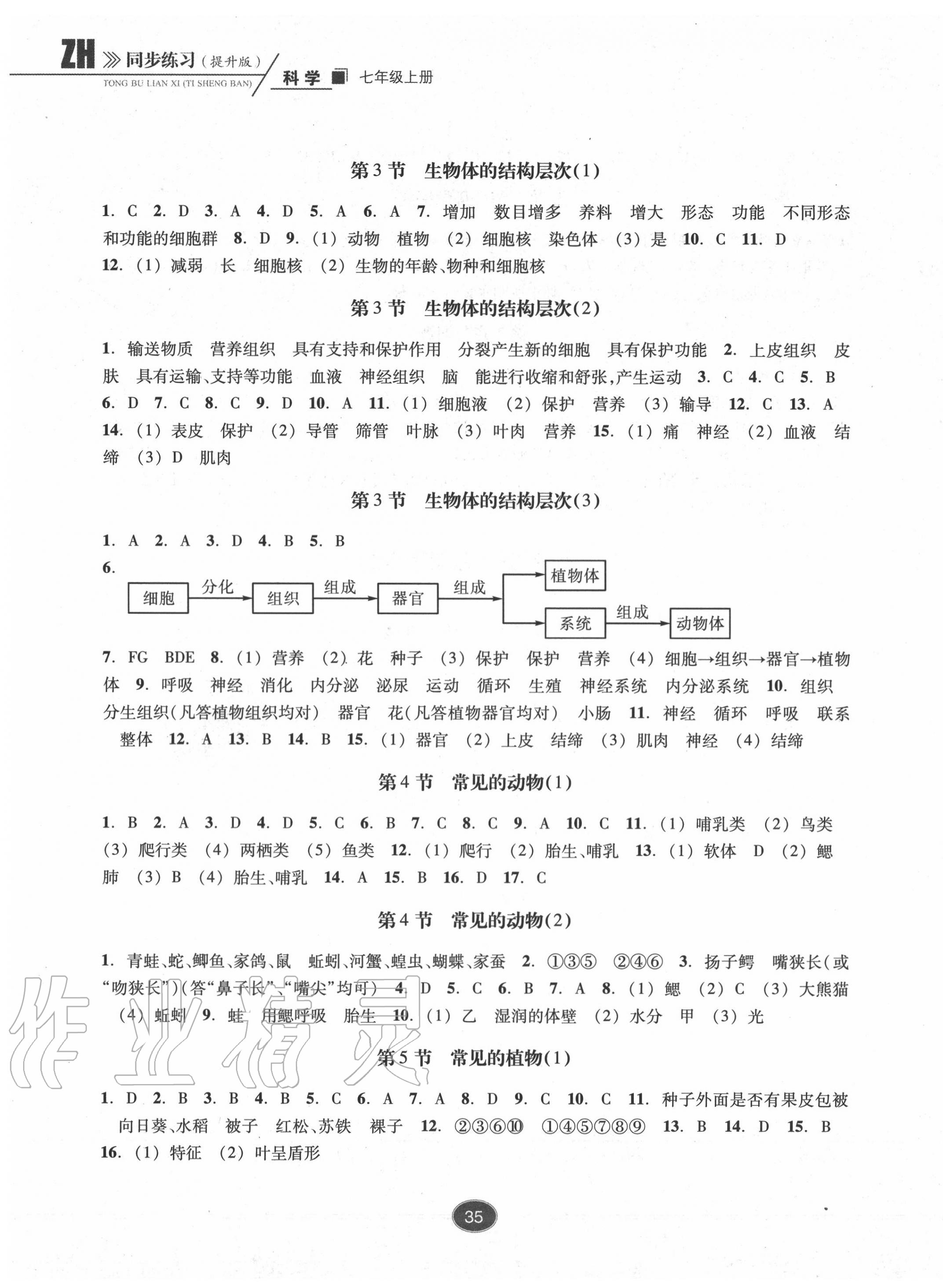 2020年同步练习七年级科学上册浙教版提升版浙江教育出版社 参考答案第3页