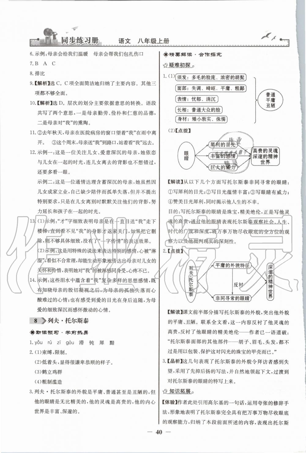 2020年同步练习册八年级语文上册人教版人民教育出版社 第8页