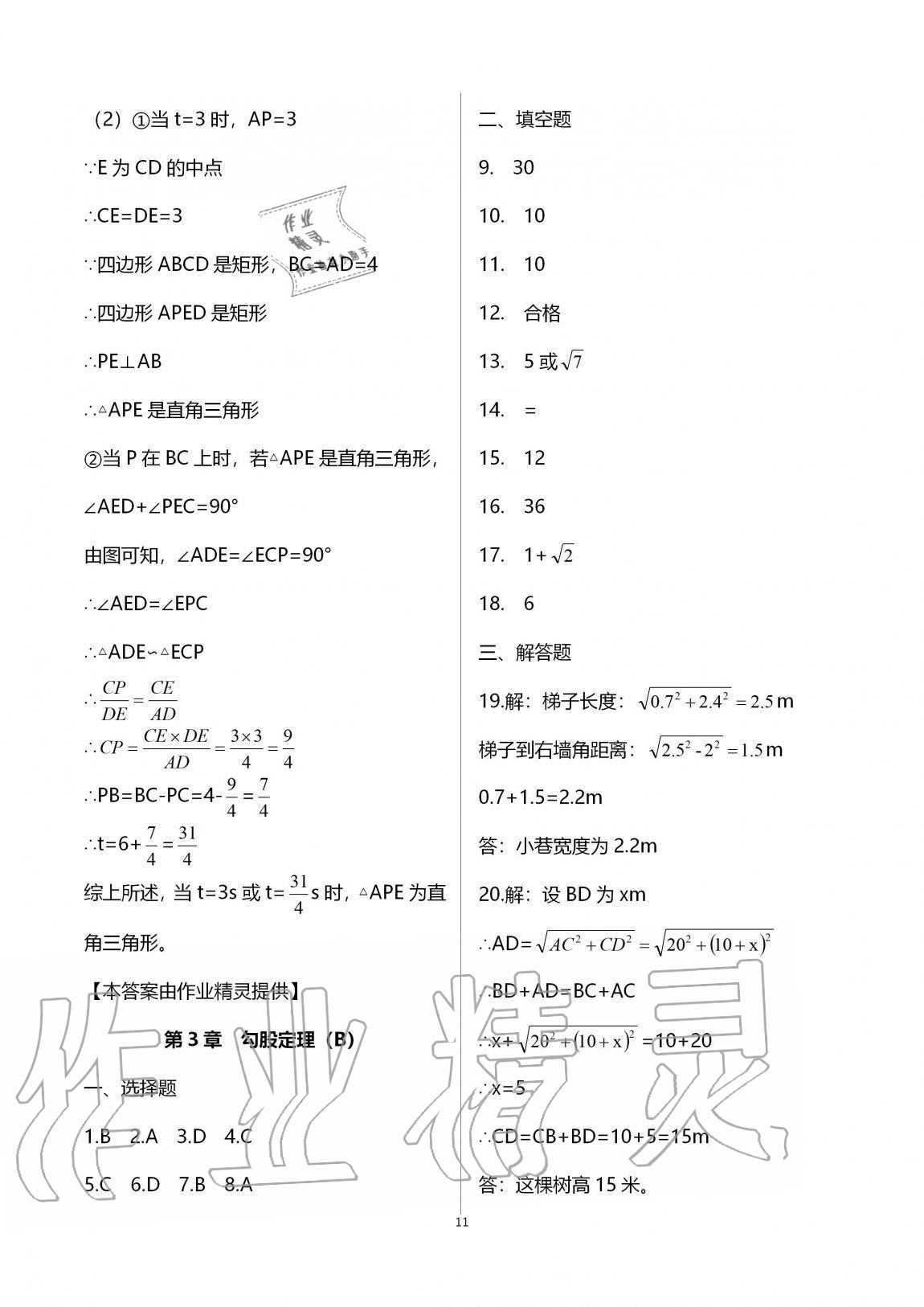 2020年阳光互动绿色成长空间八年级数学上册苏科版提优版 第11页