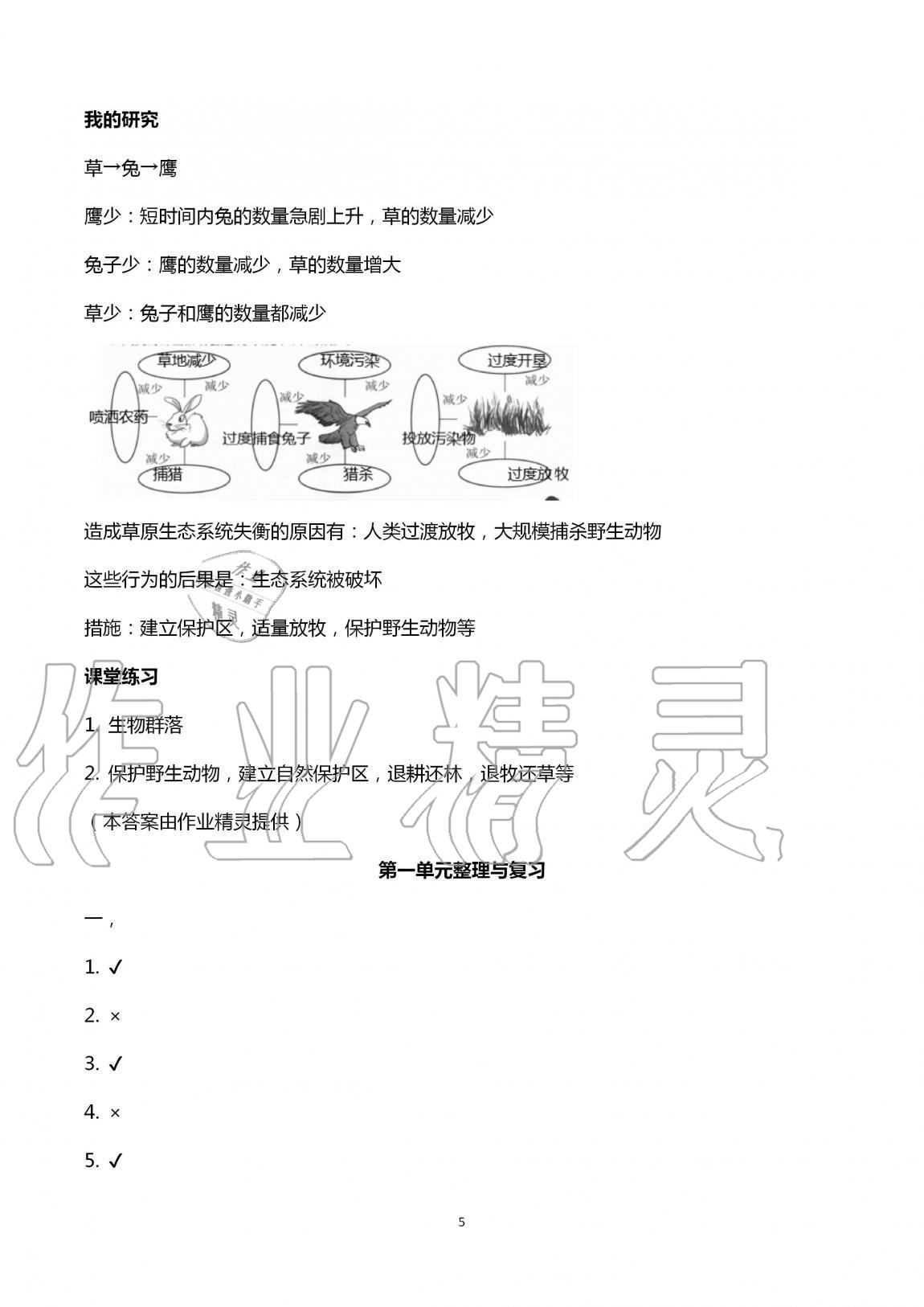 2020年科学学习与巩固五年级上册教科版 第5页