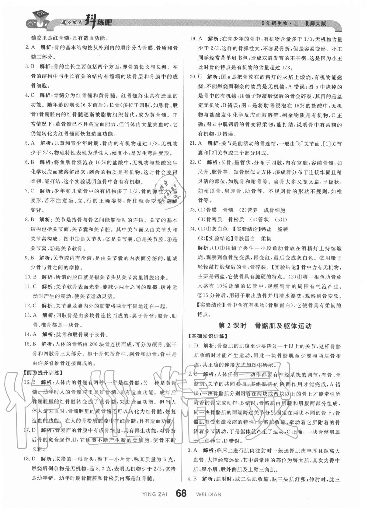 2020年抖練吧八年級生物上冊北師大版 參考答案第2頁